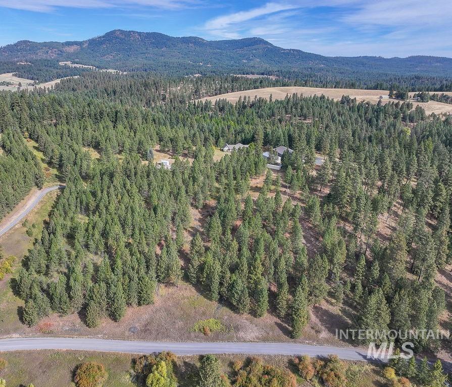 Tbd Wallen Road Property Photo 14