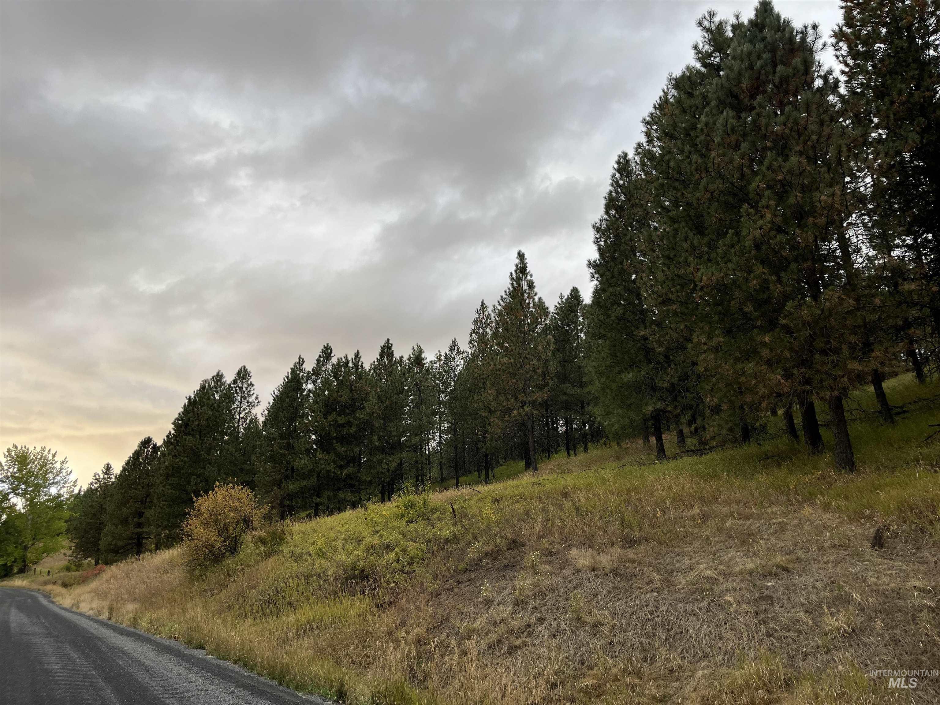 Tbd Wallen Road Property Photo 16