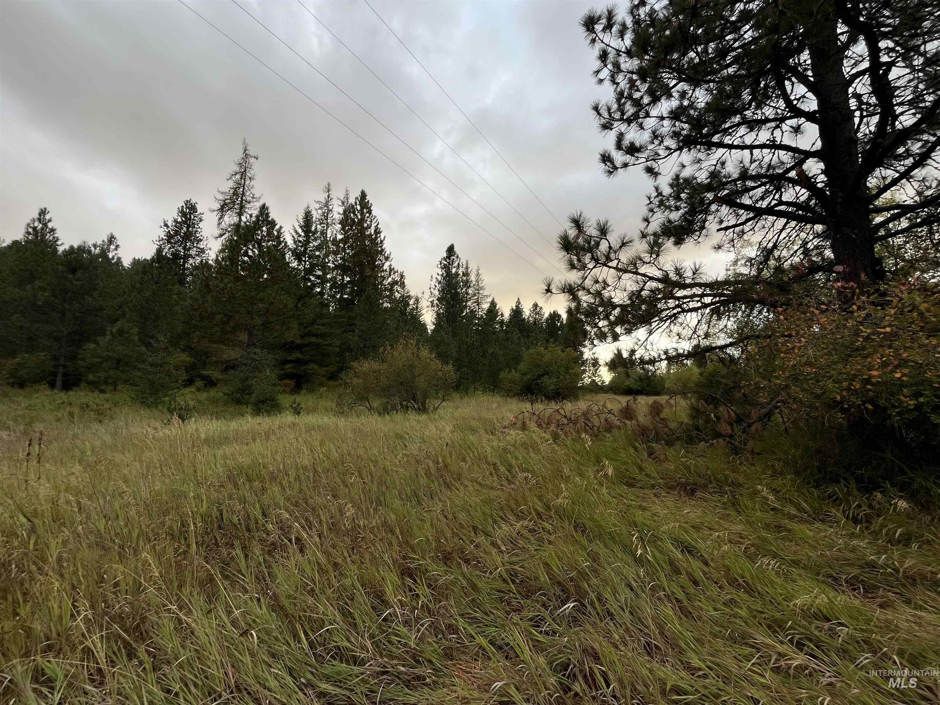 Tbd Wallen Road Property Photo 17