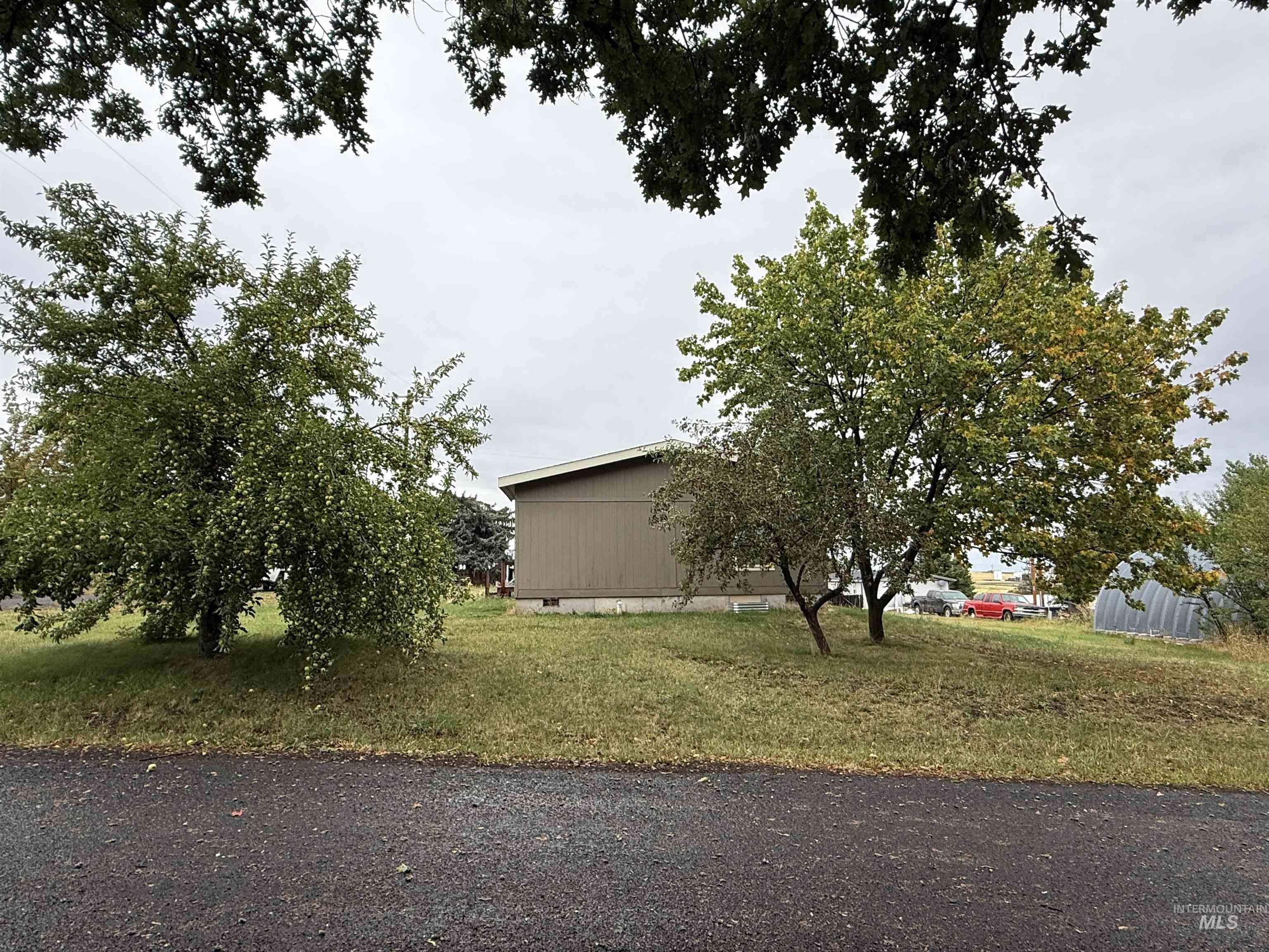 409 N 4th Avenue Property Photo 8