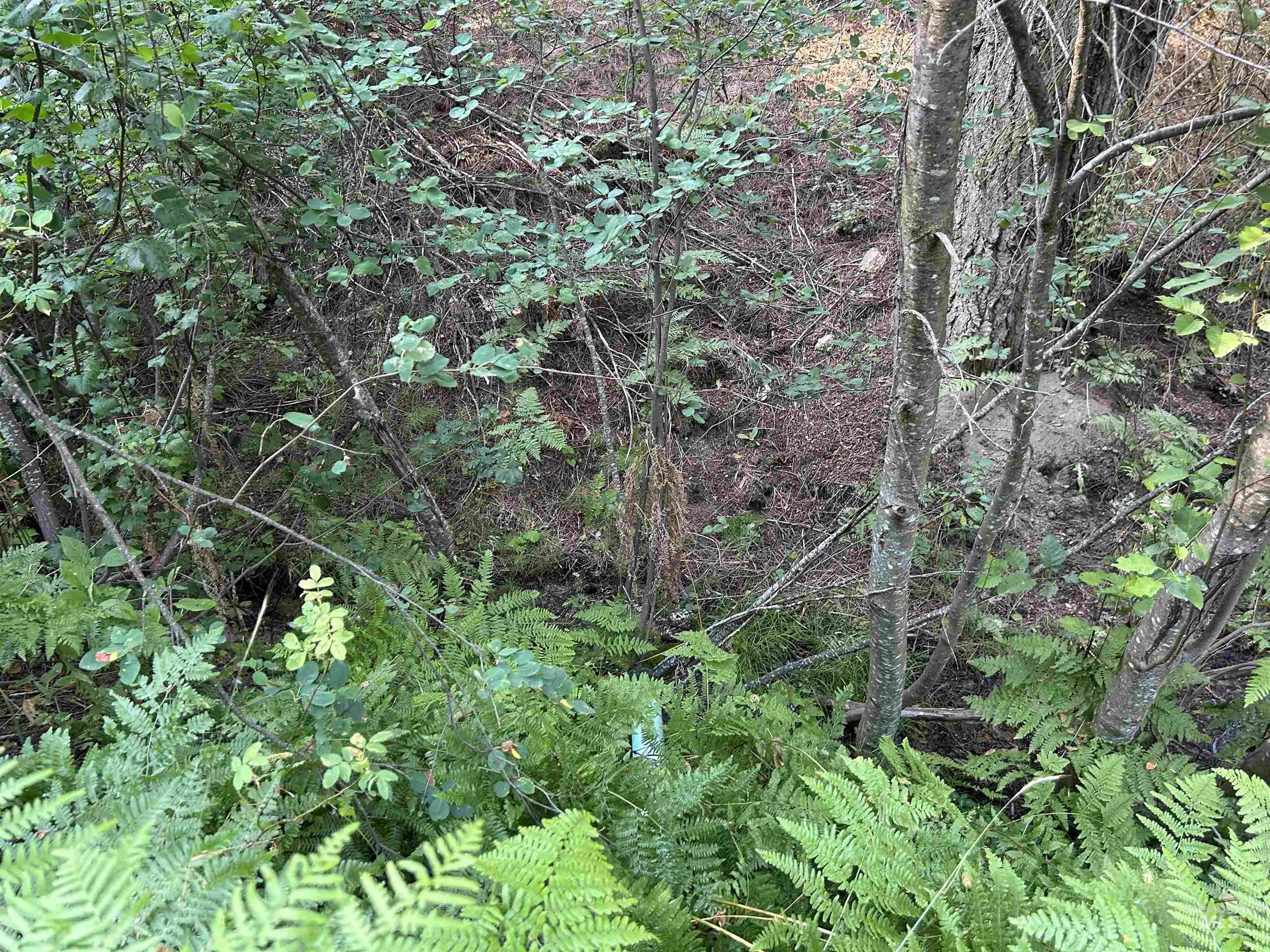 197 Scriver Woods Rd Property Photo 41