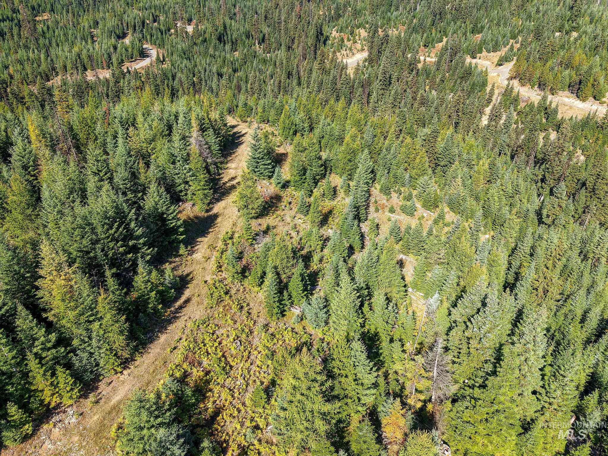 Tbd Parcel 10 Tree Farm Trails Road Property Photo 2
