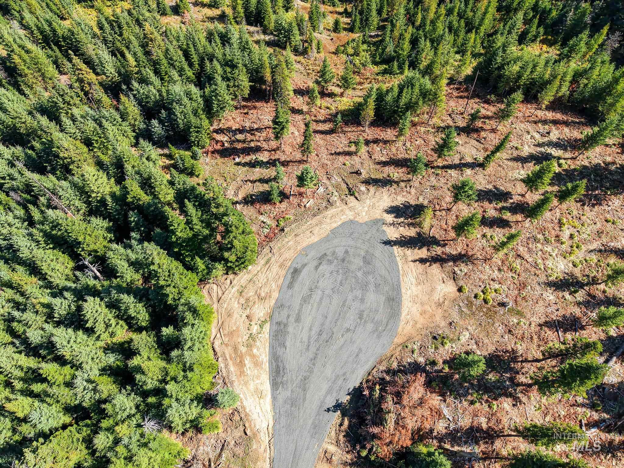 Tbd Parcel 10 Tree Farm Trails Road Property Photo 12