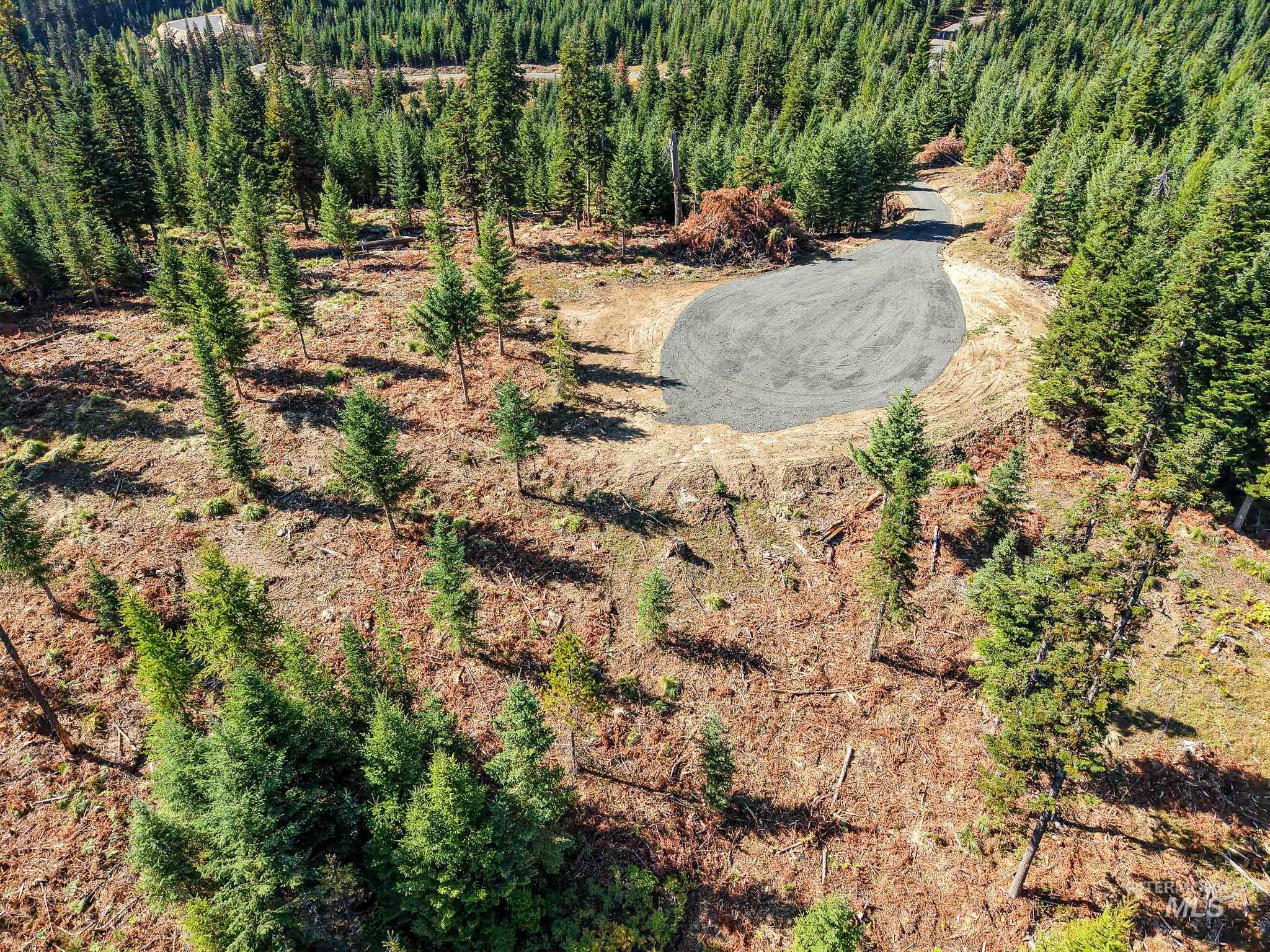 Tbd Parcel 10 Tree Farm Trails Road Property Photo 14