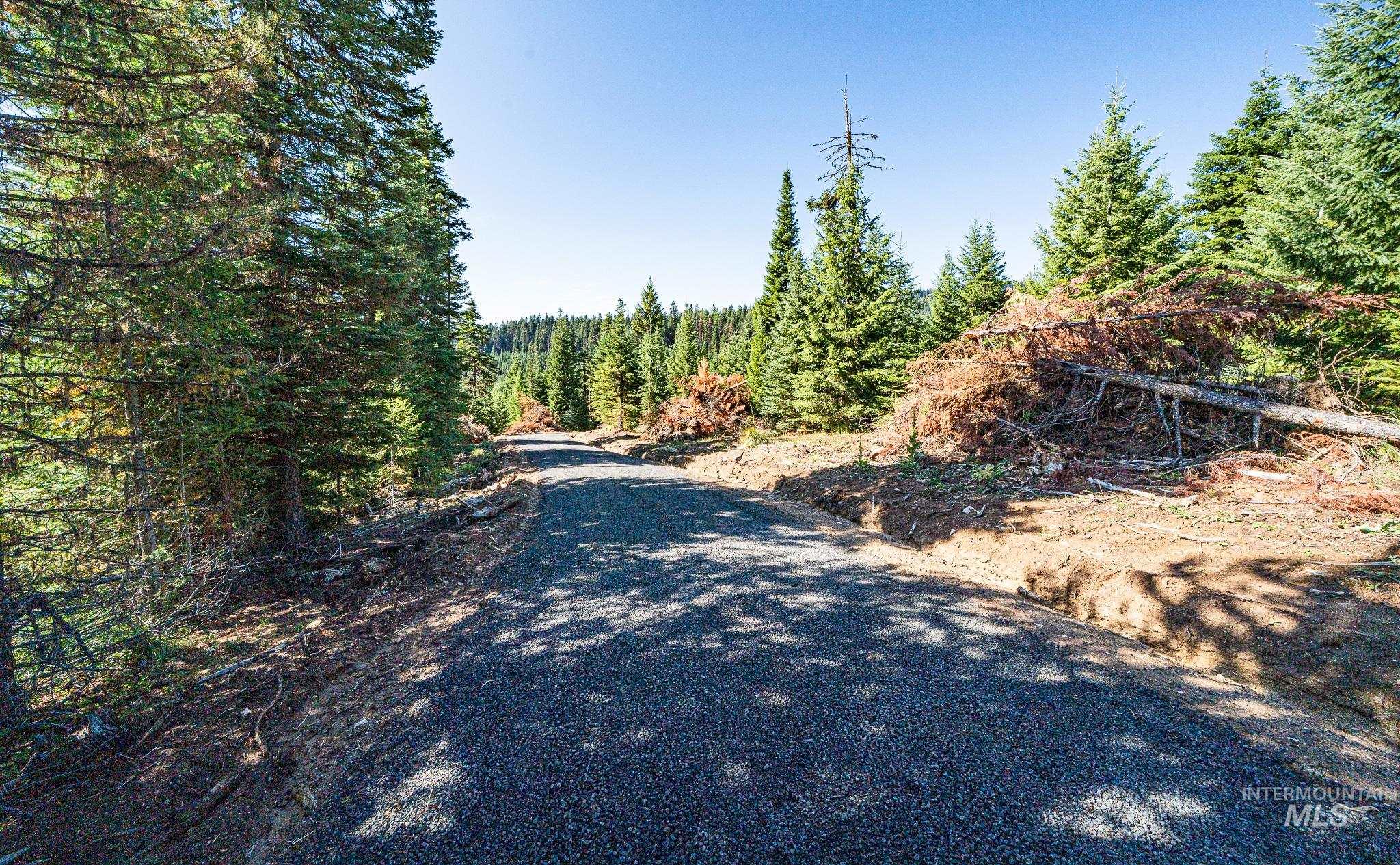 Tbd Parcel 10 Tree Farm Trails Road Property Photo 24
