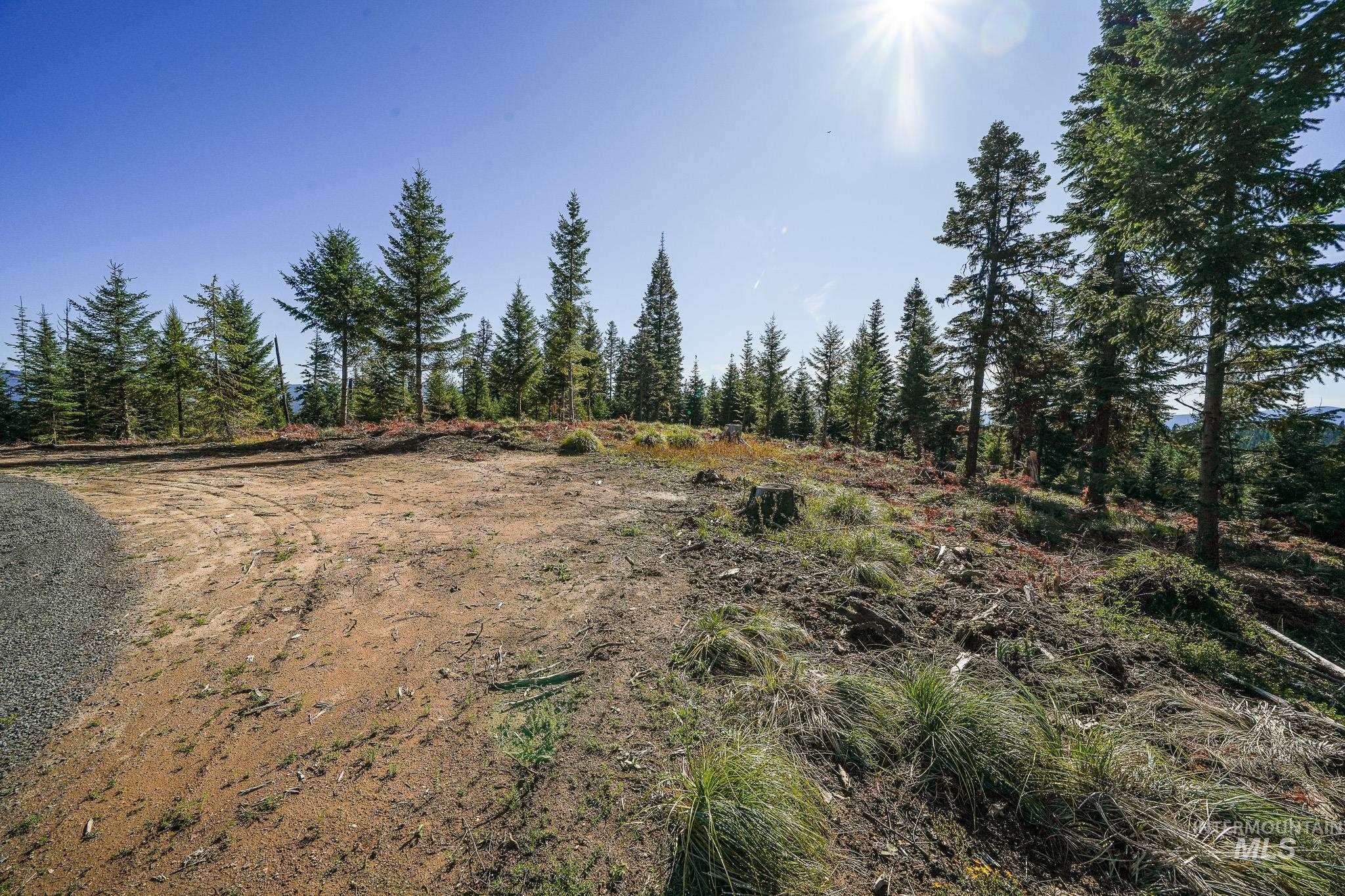 Tbd Parcel 10 Tree Farm Trails Road Property Photo 25
