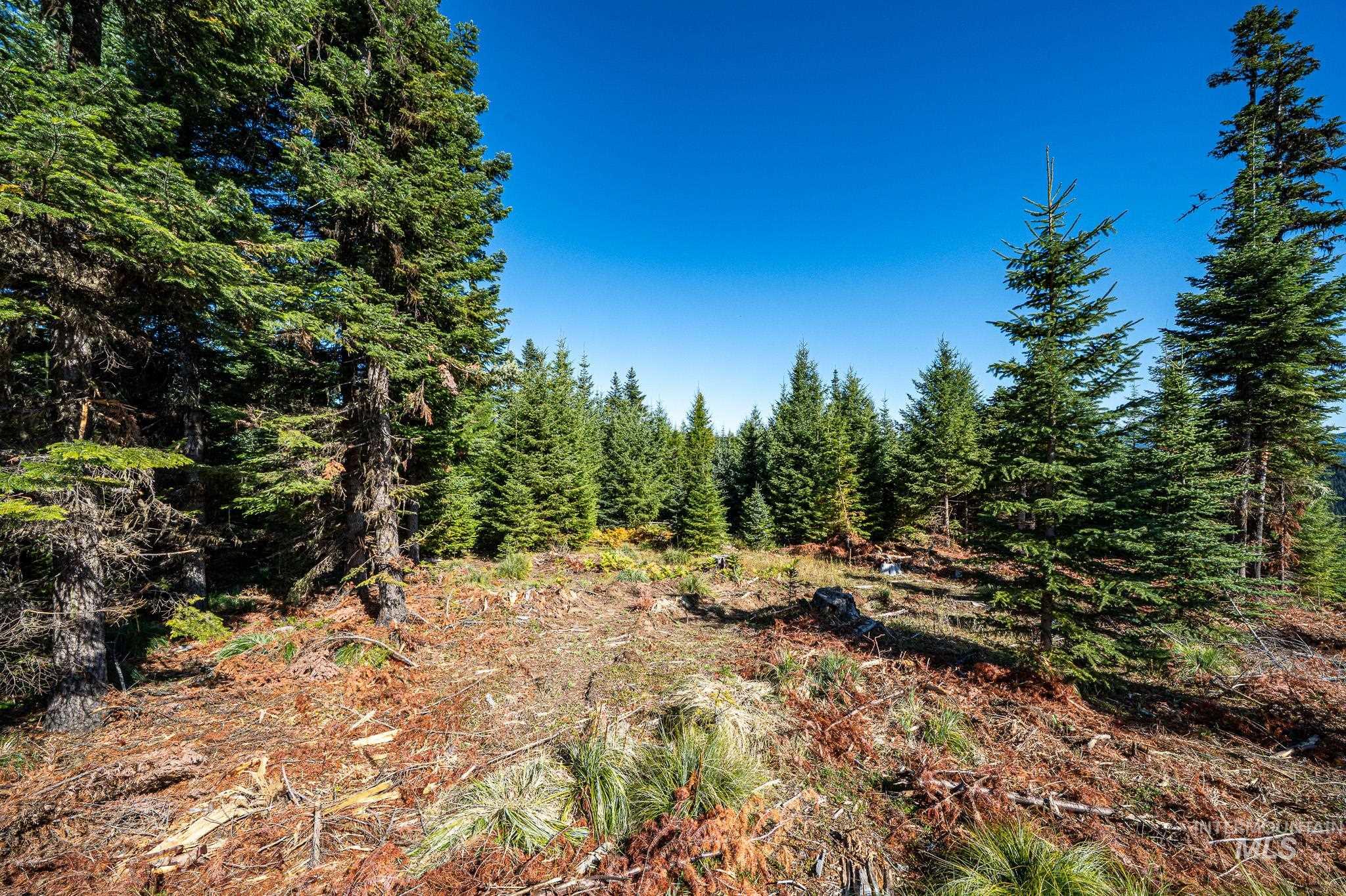 Tbd Parcel 10 Tree Farm Trails Road Property Photo 29