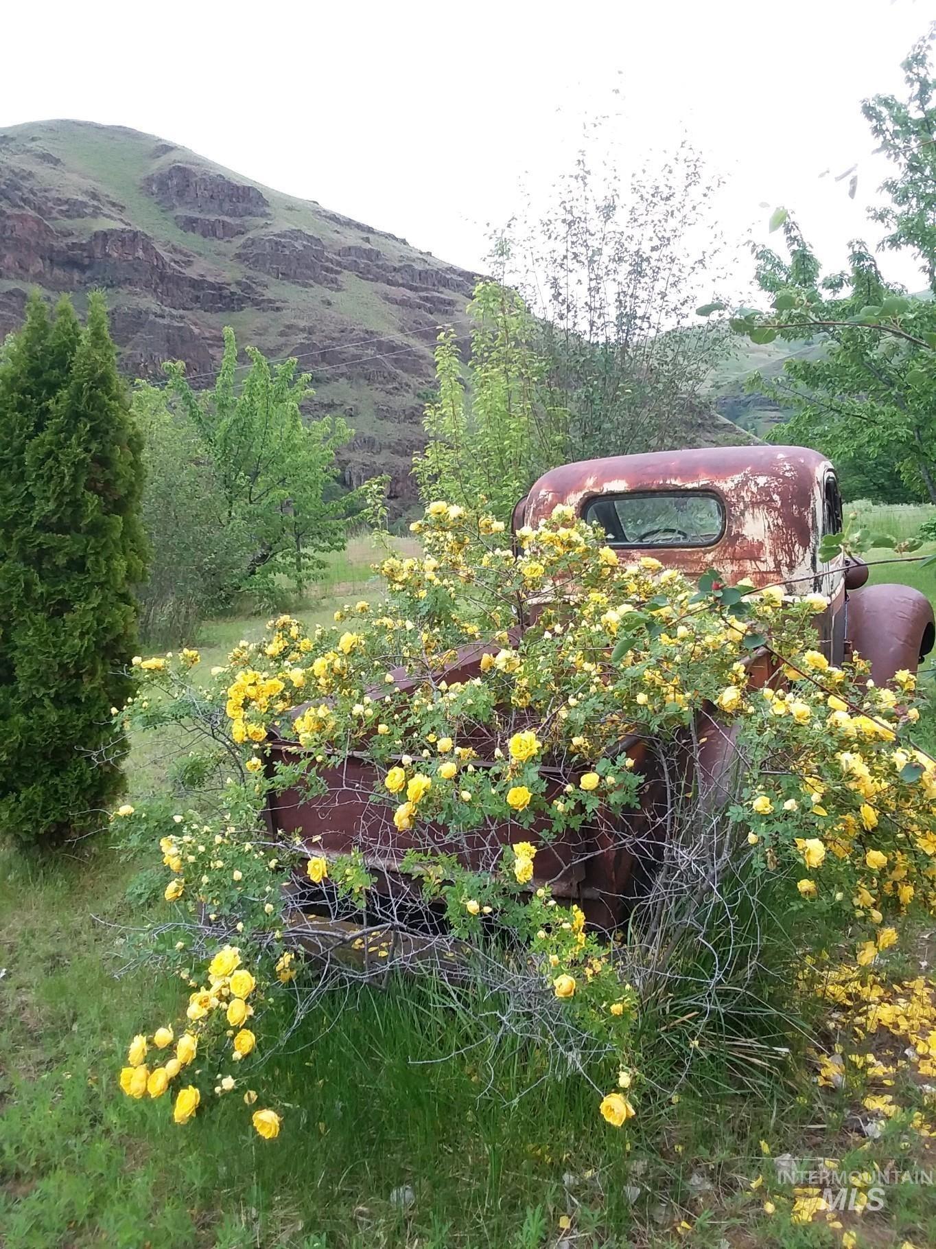 61380 Highway 129 Property Photo 45