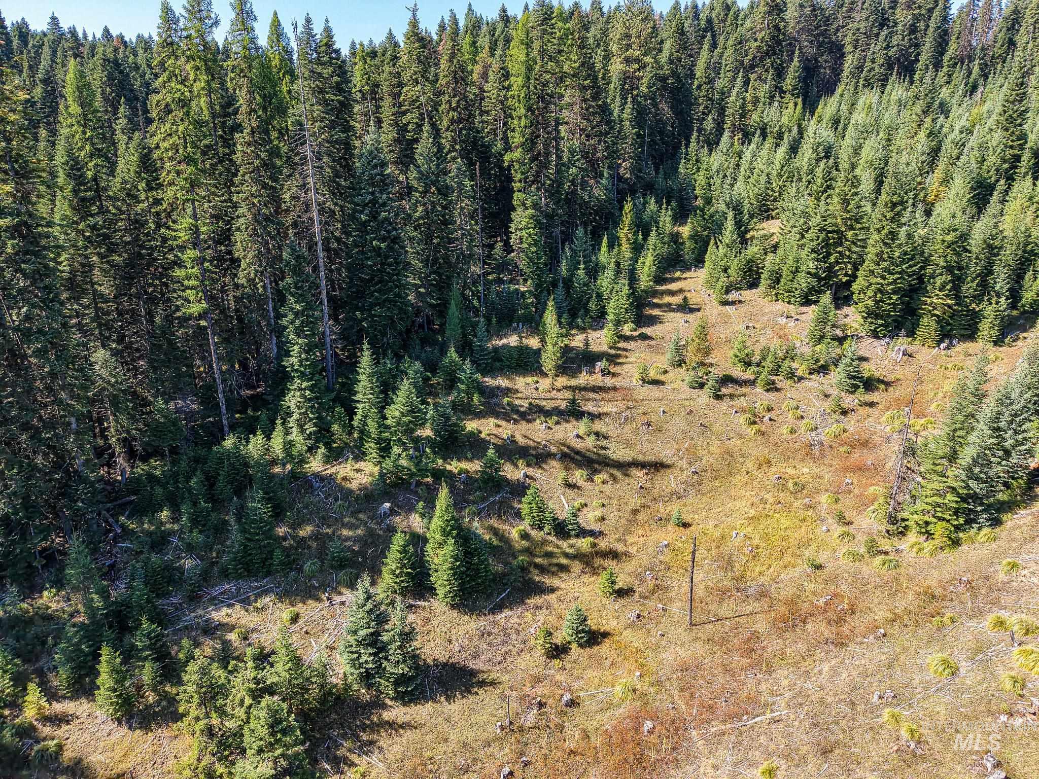 Tbd Parcel 11 Tree Farm Trails Road Property Photo 10