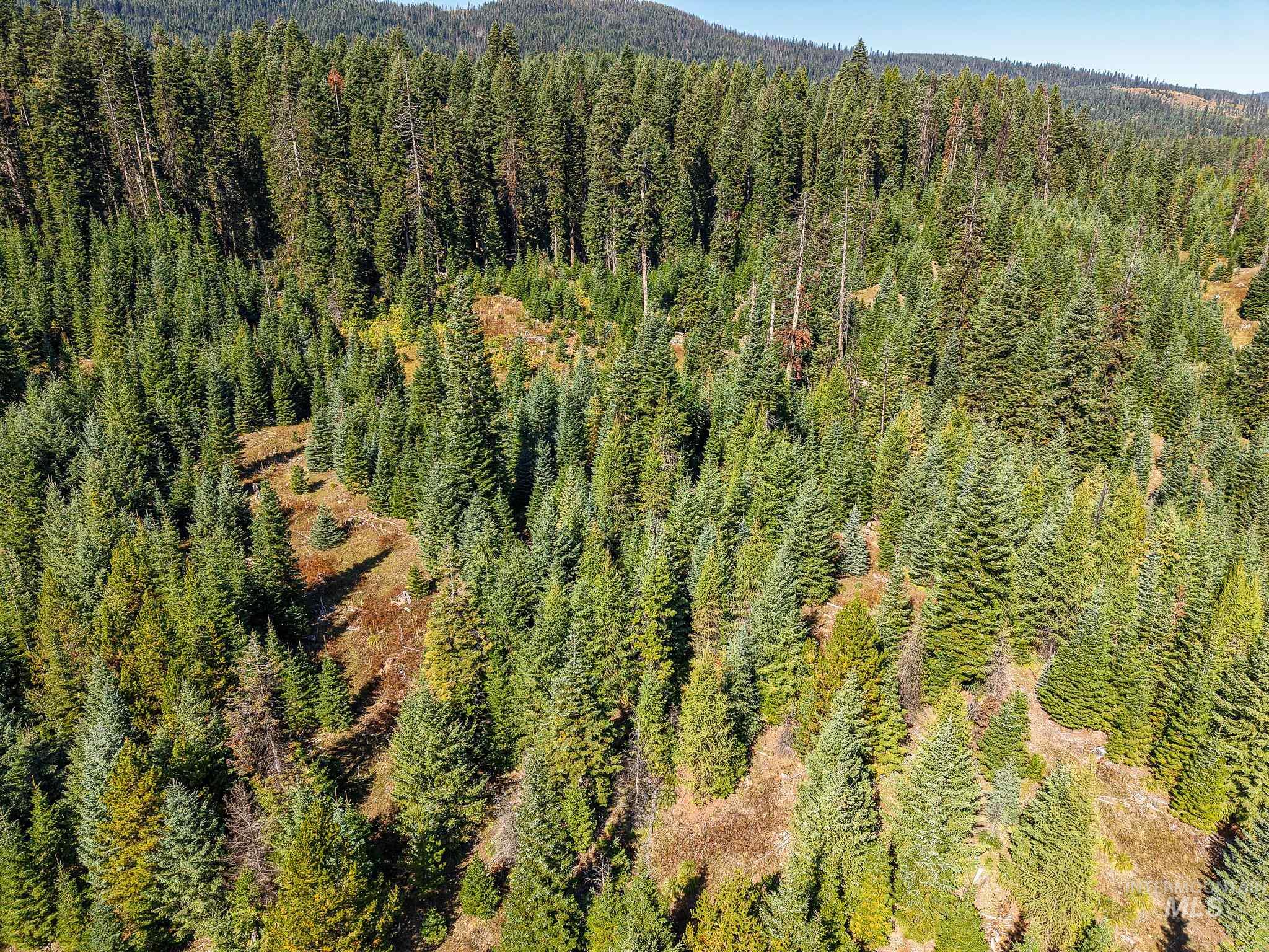 Tbd Parcel 11 Tree Farm Trails Road Property Photo 11