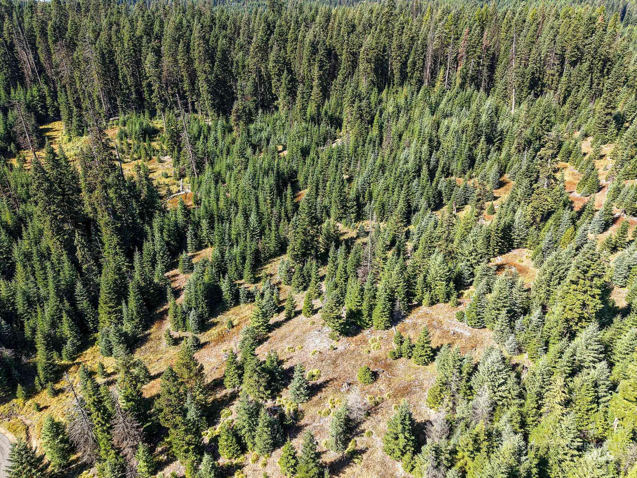 Tbd Parcel 11 Tree Farm Trails Road Property Photo 15