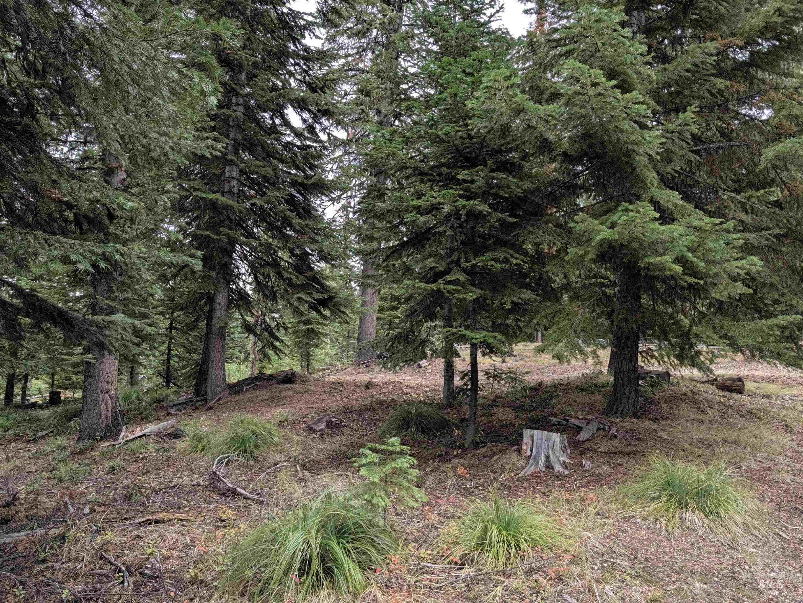 524 Rhett Creek Road Property Photo 19