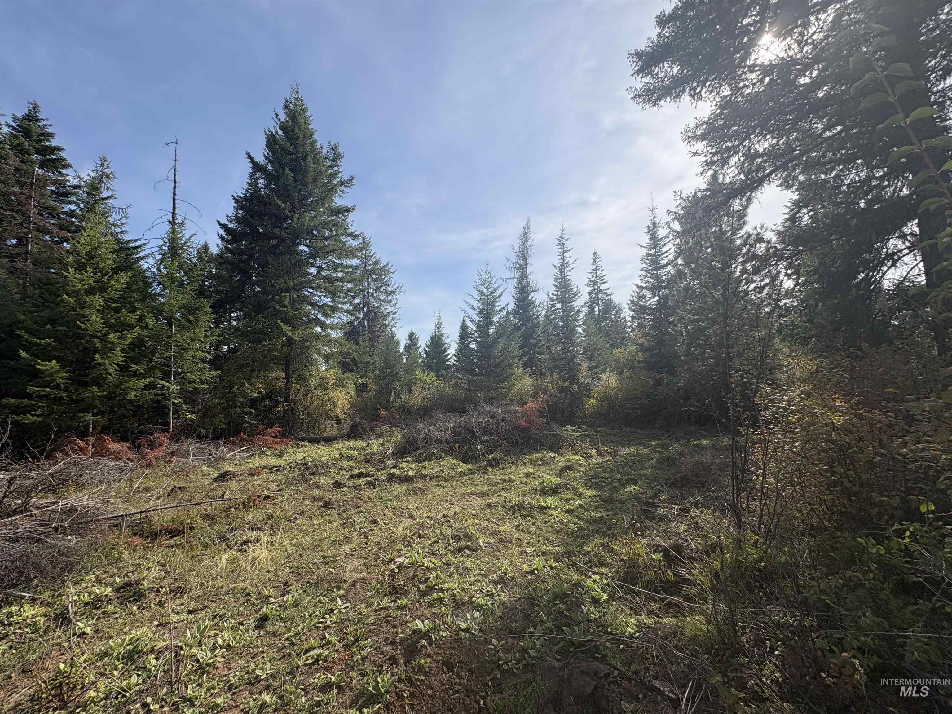 0 Timber Ridge Drive Property Photo 8