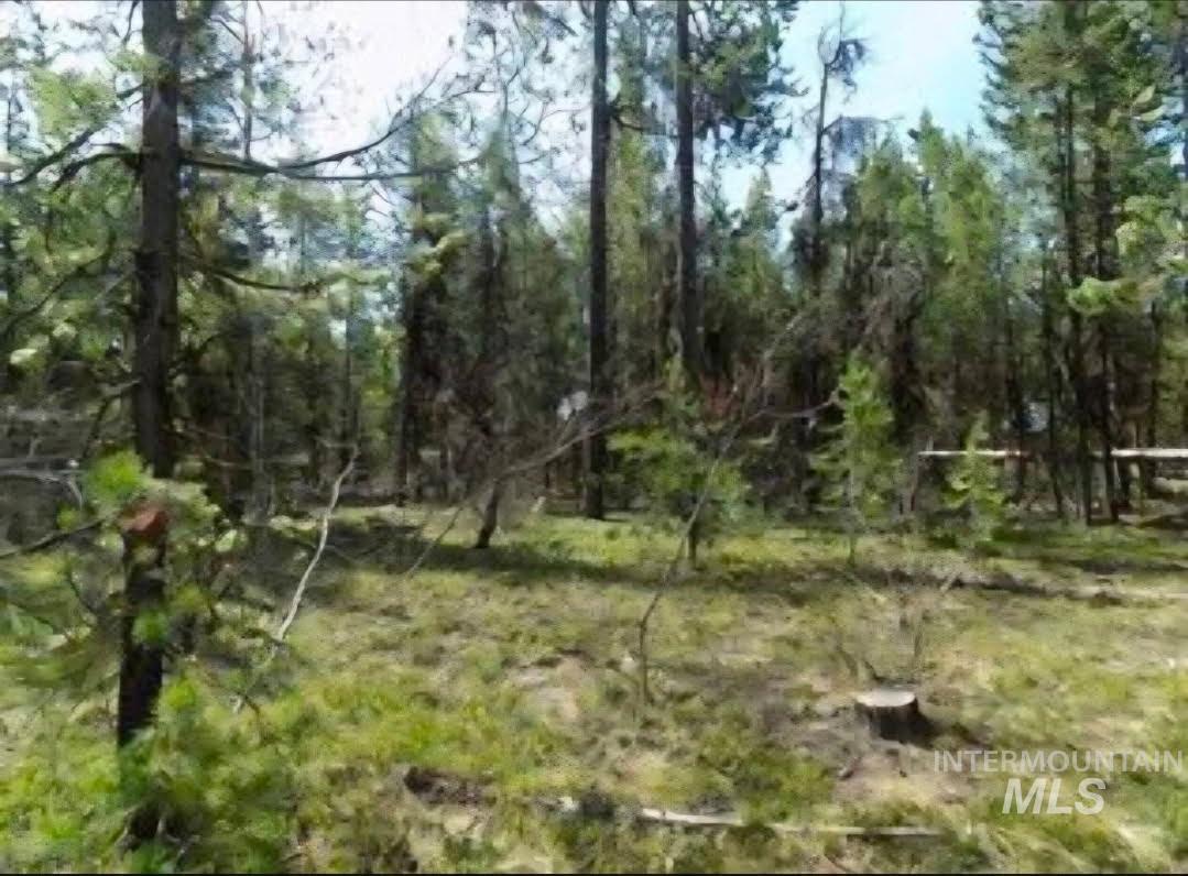 12962 Patty Dr. Property Photo 2