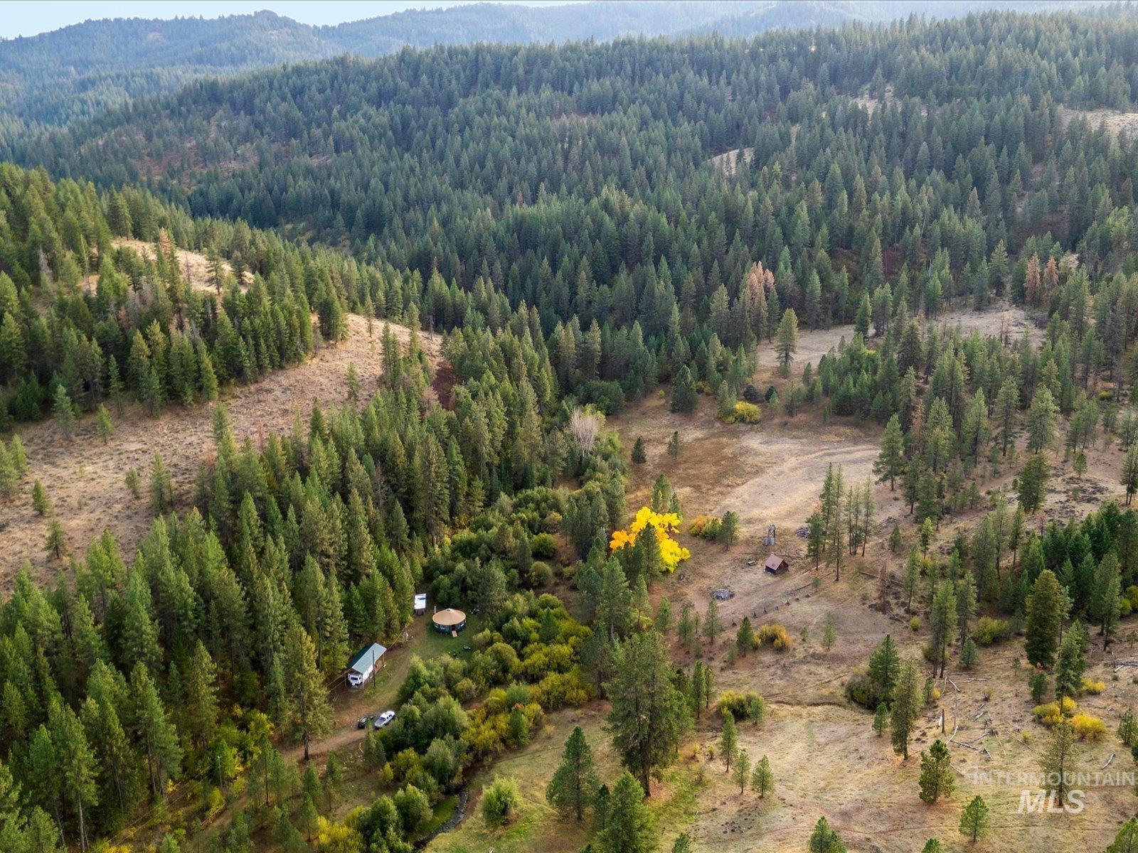 1824 Pole Creek Rd. Property Photo 2