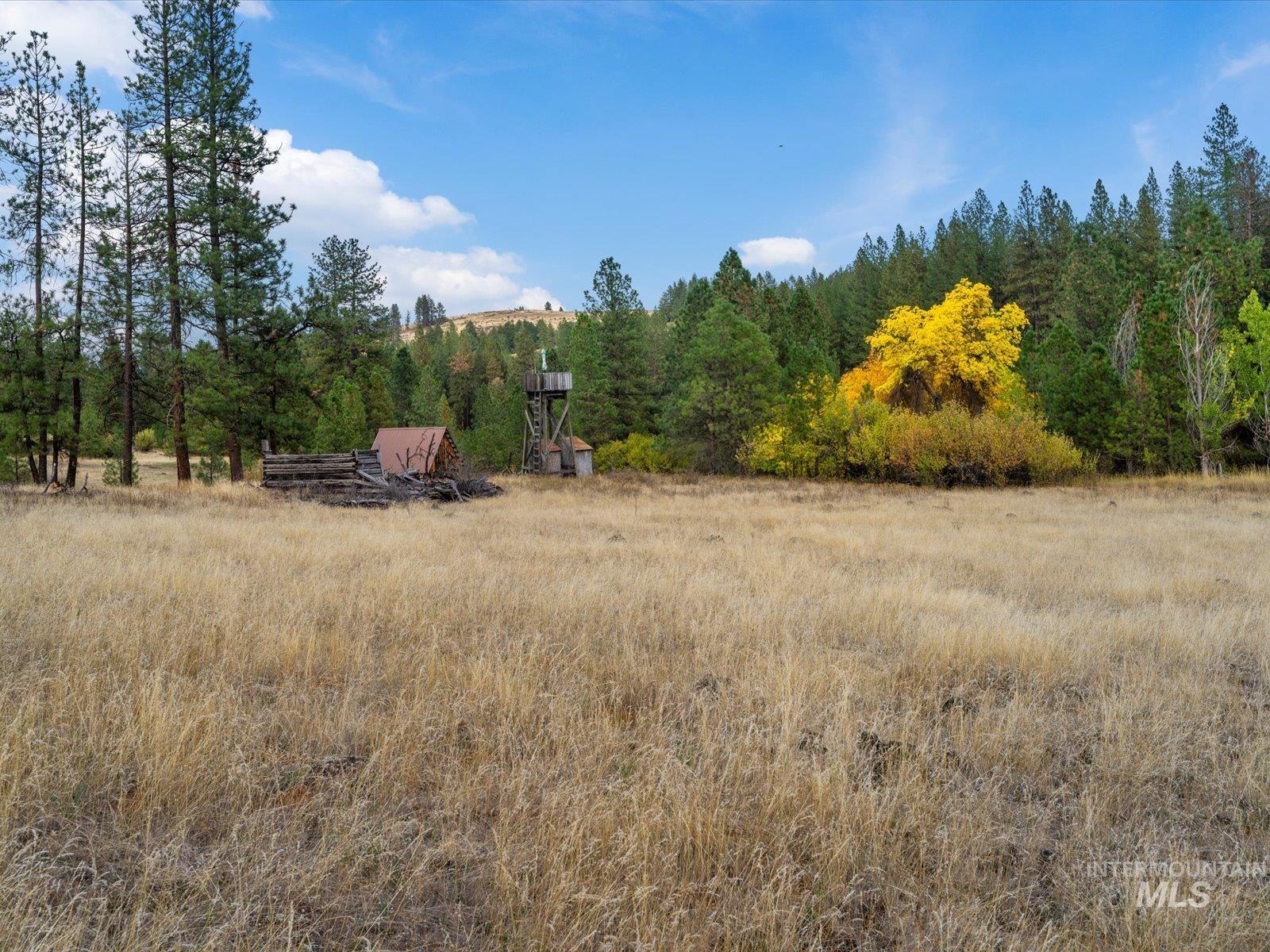 1824 Pole Creek Rd. Property Photo 14