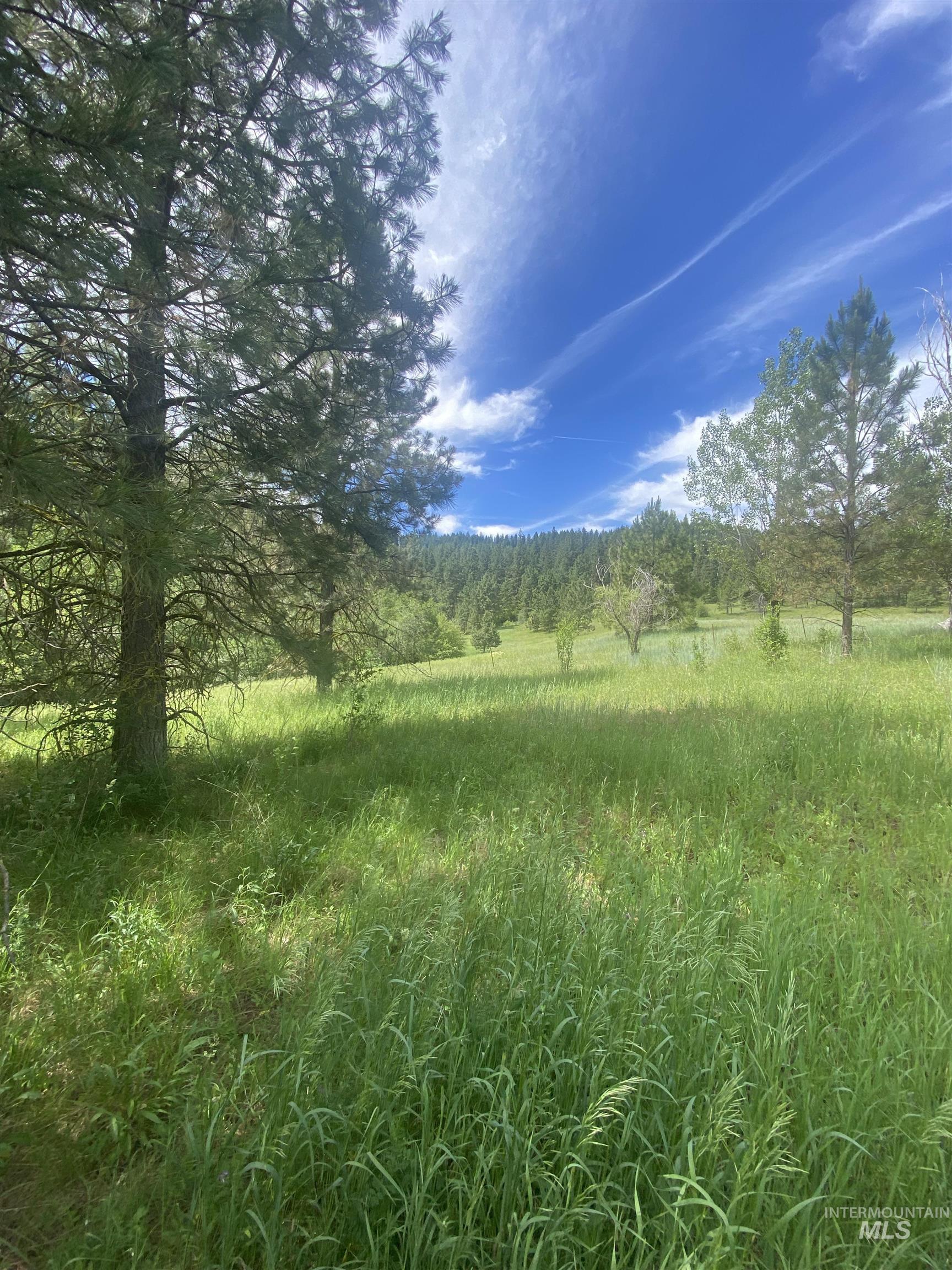 1824 Pole Creek Rd. Property Photo 23