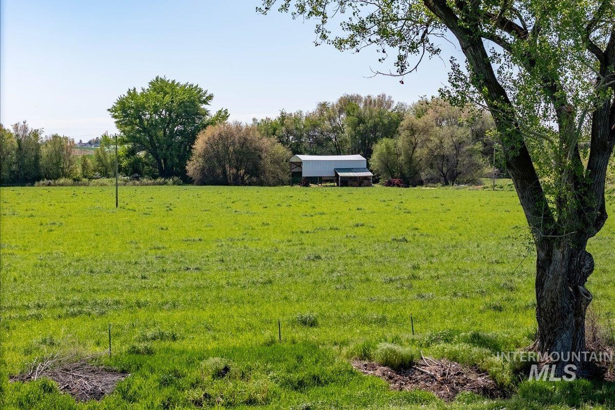 16921 Oasis Rd Property Photo 47