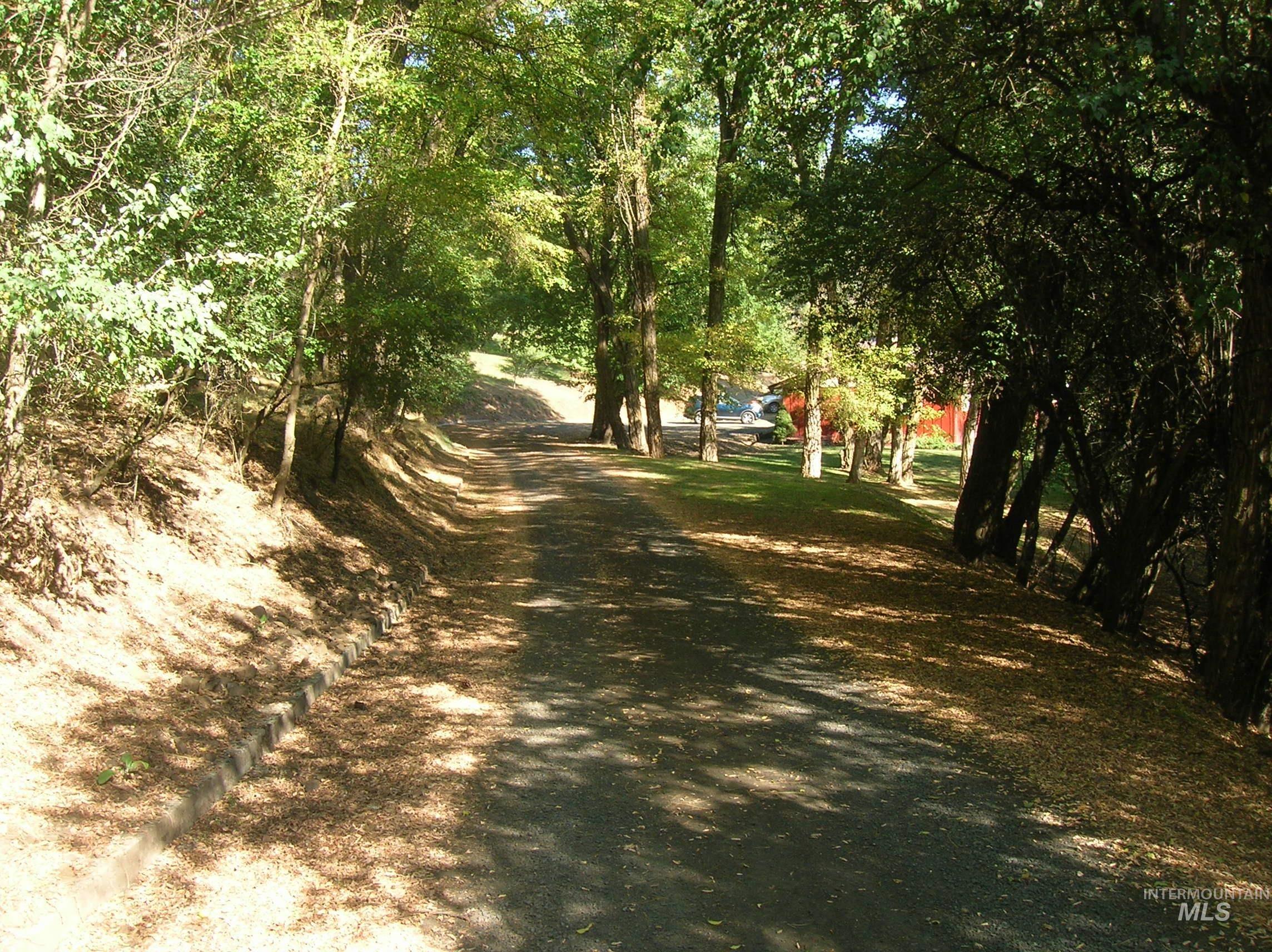 307 Locust Road Property Photo 3