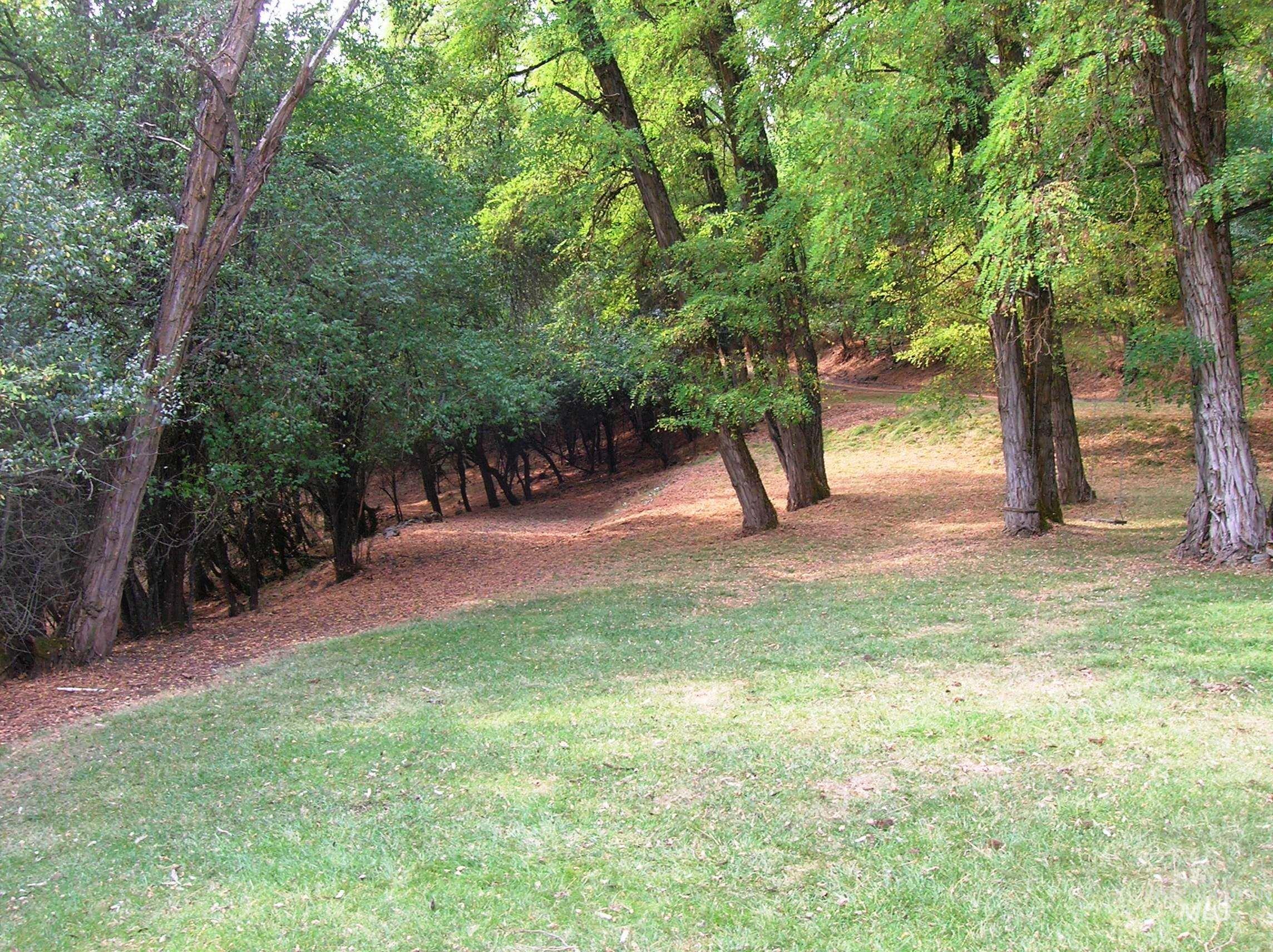 307 Locust Road Property Photo 15