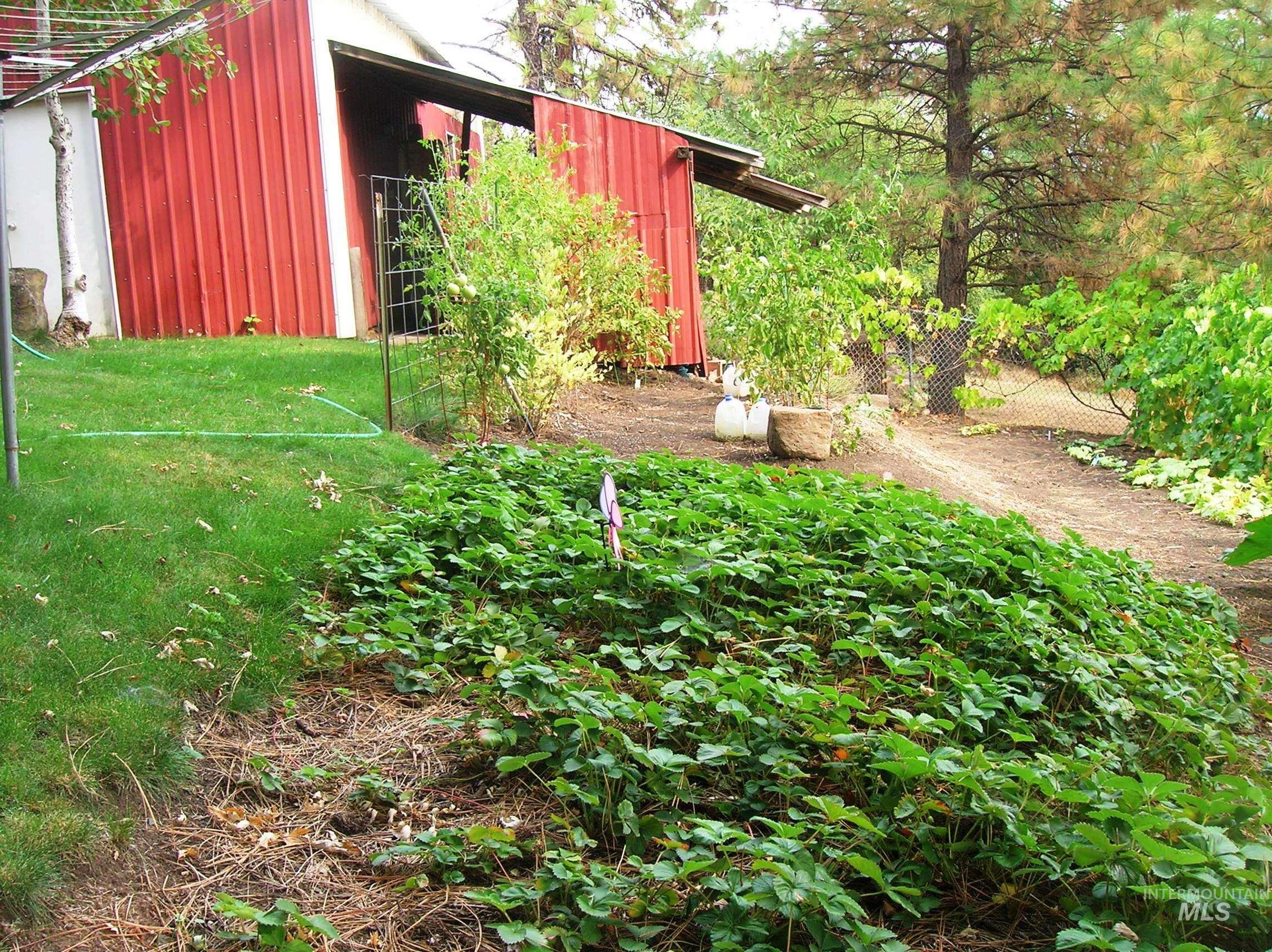 307 Locust Road Property Photo 23