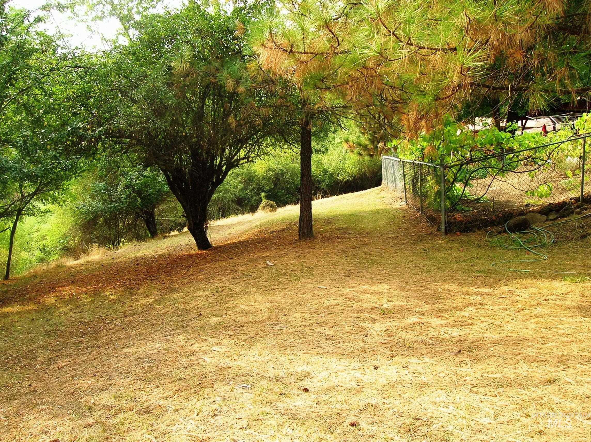 307 Locust Road Property Photo 26
