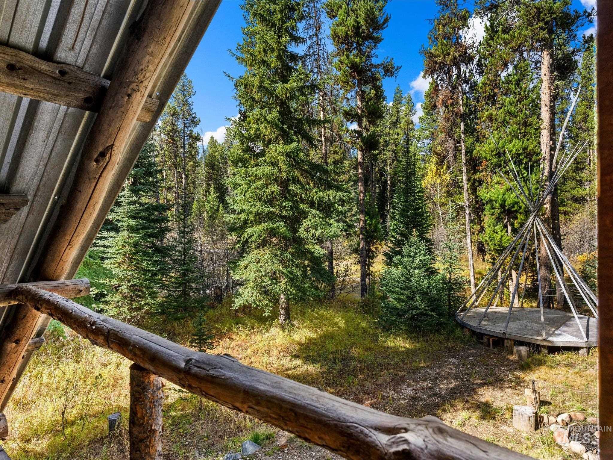 507 Secesh River Road Property Photo 13