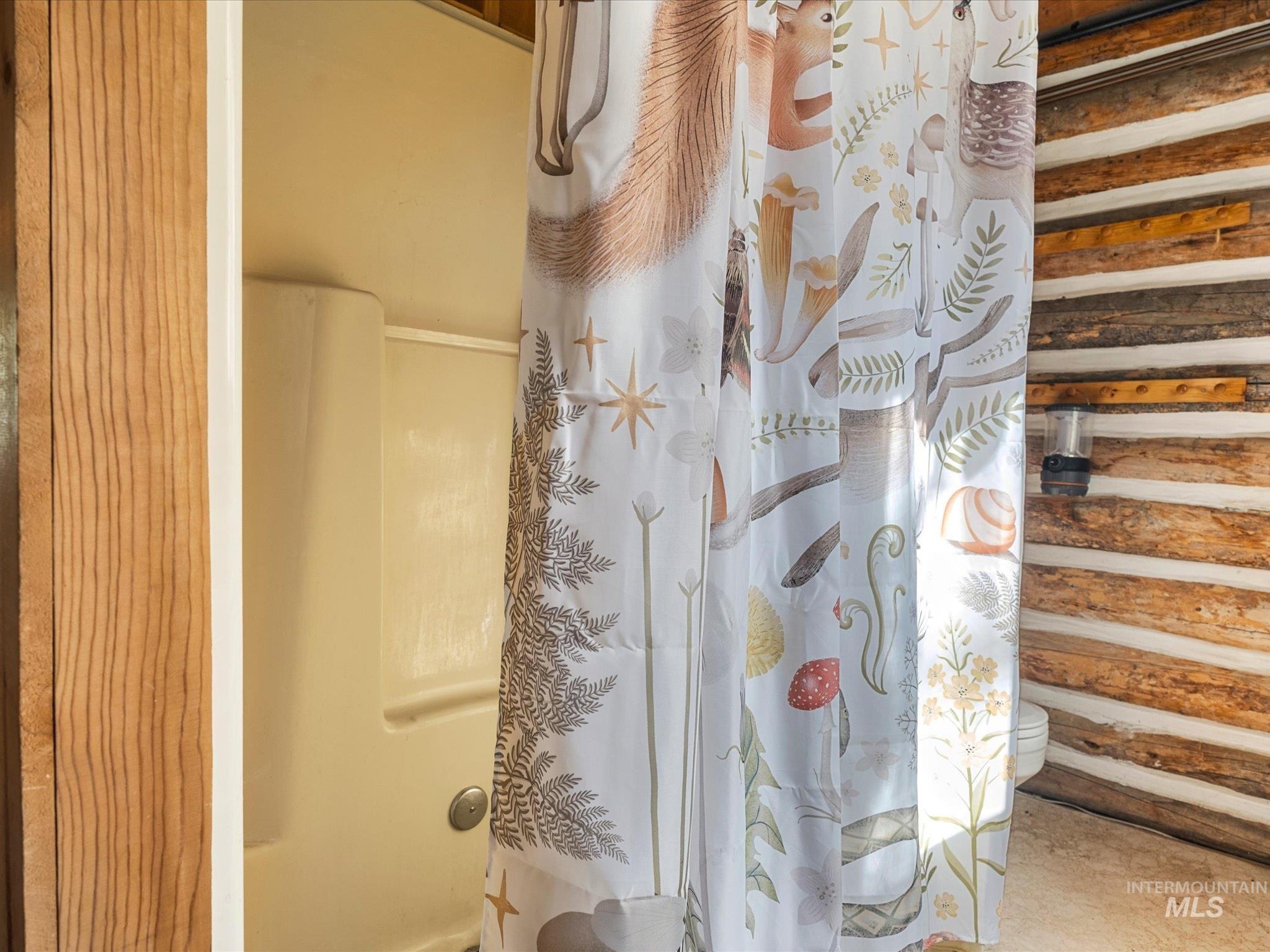 507 Secesh River Road Property Photo 28