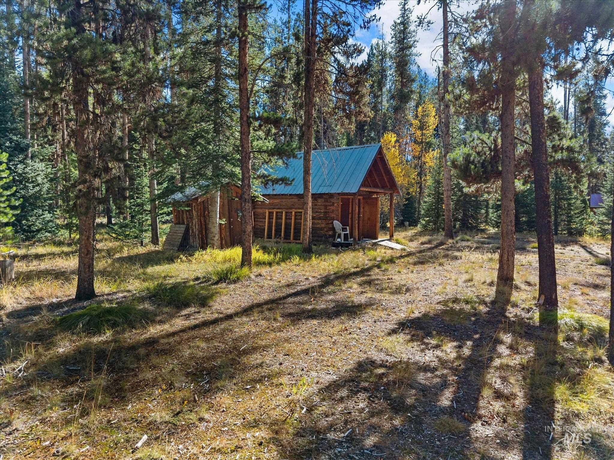 507 Secesh River Road Property Photo 34
