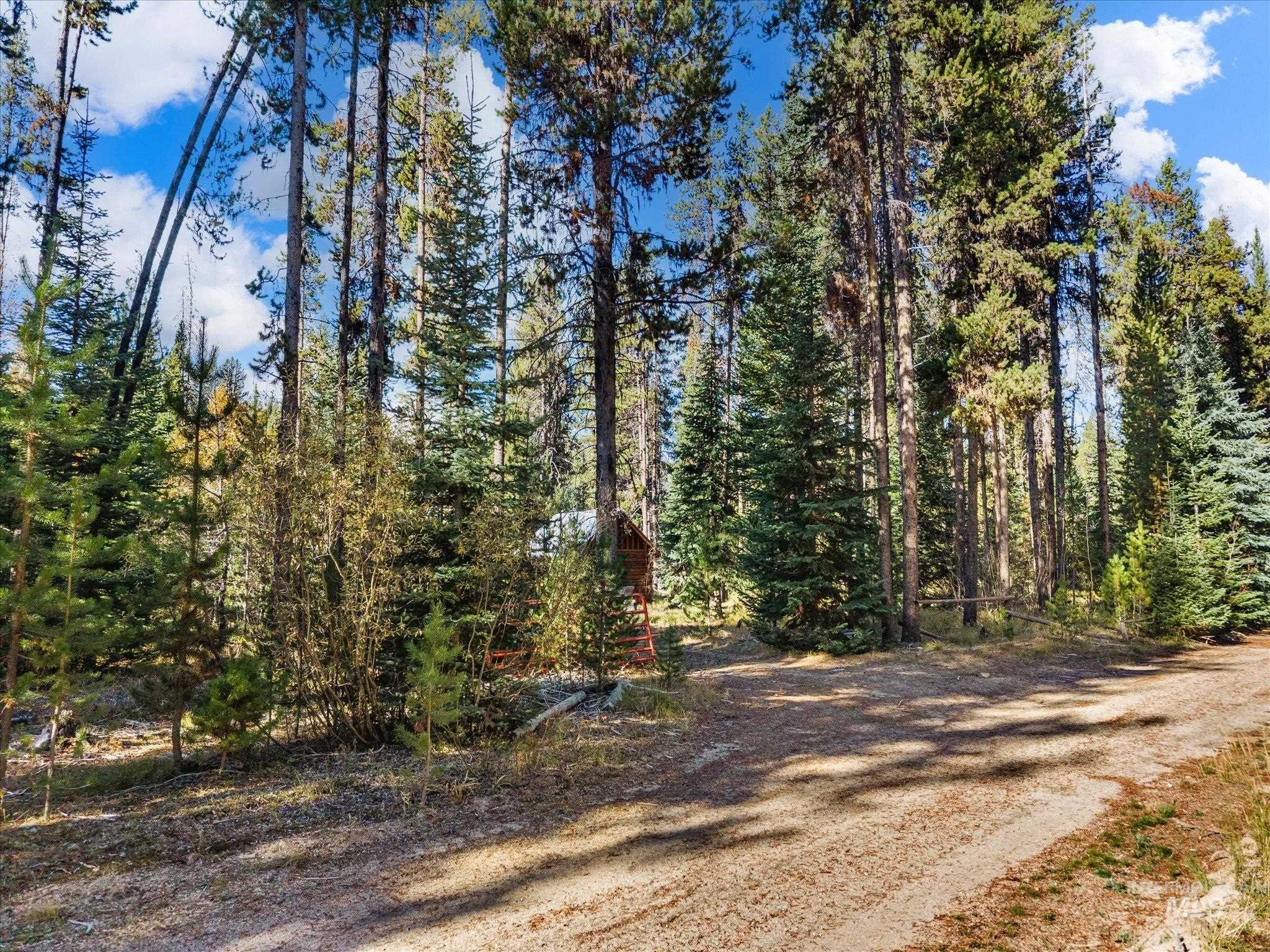 507 Secesh River Road Property Photo 37