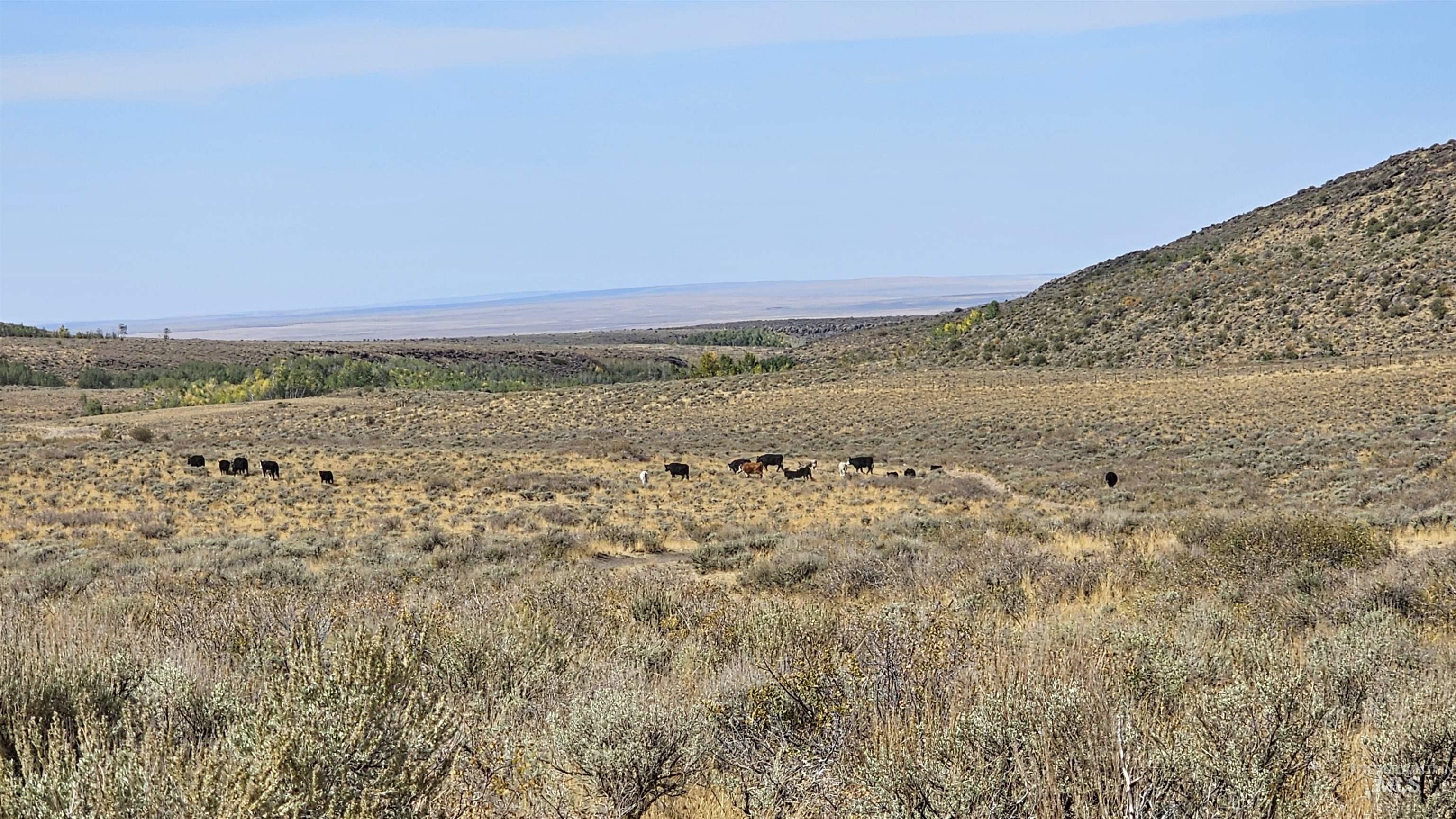 Approx. 300 Antelope Springs Rd. Property Photo 5
