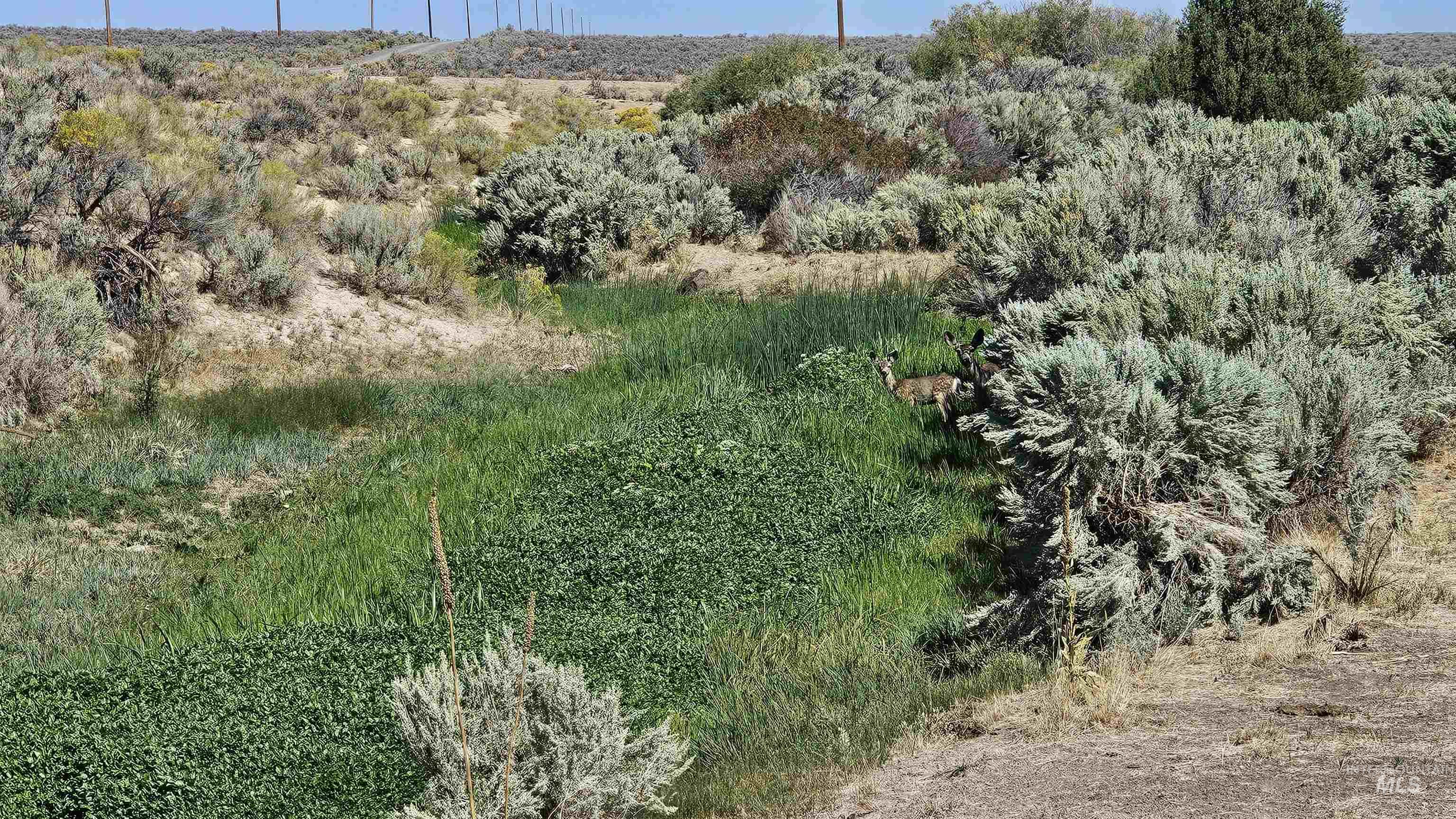 Approx. 300 Antelope Springs Rd. Property Photo 26
