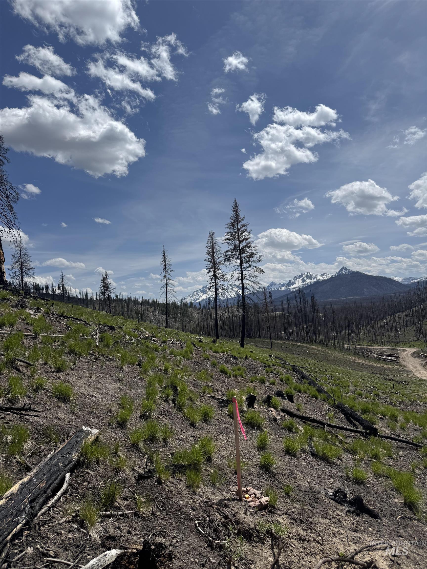 Tbd Valley Creek Rd. Property Photo 3
