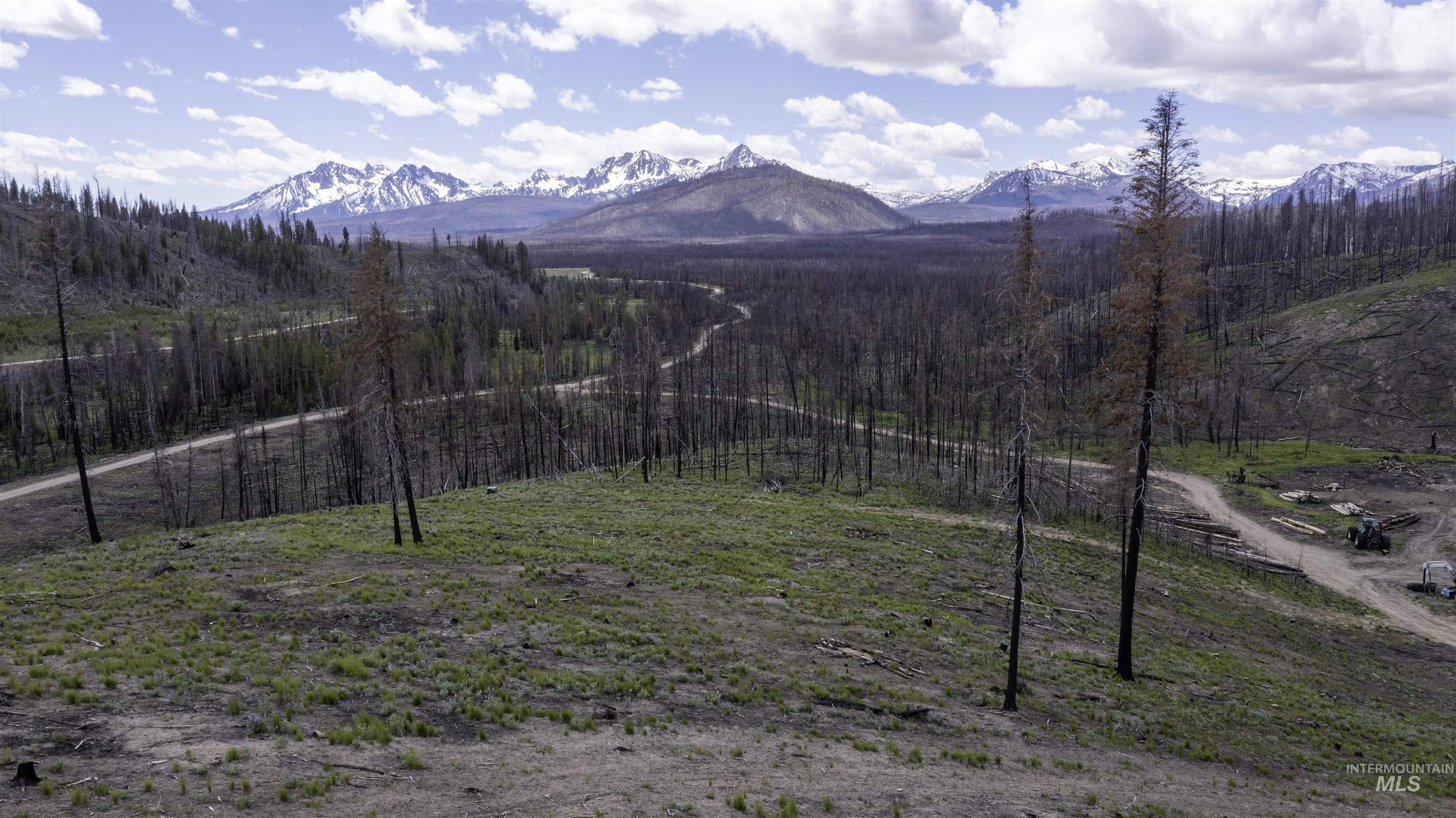 Tbd Valley Creek Rd. Property Photo 4
