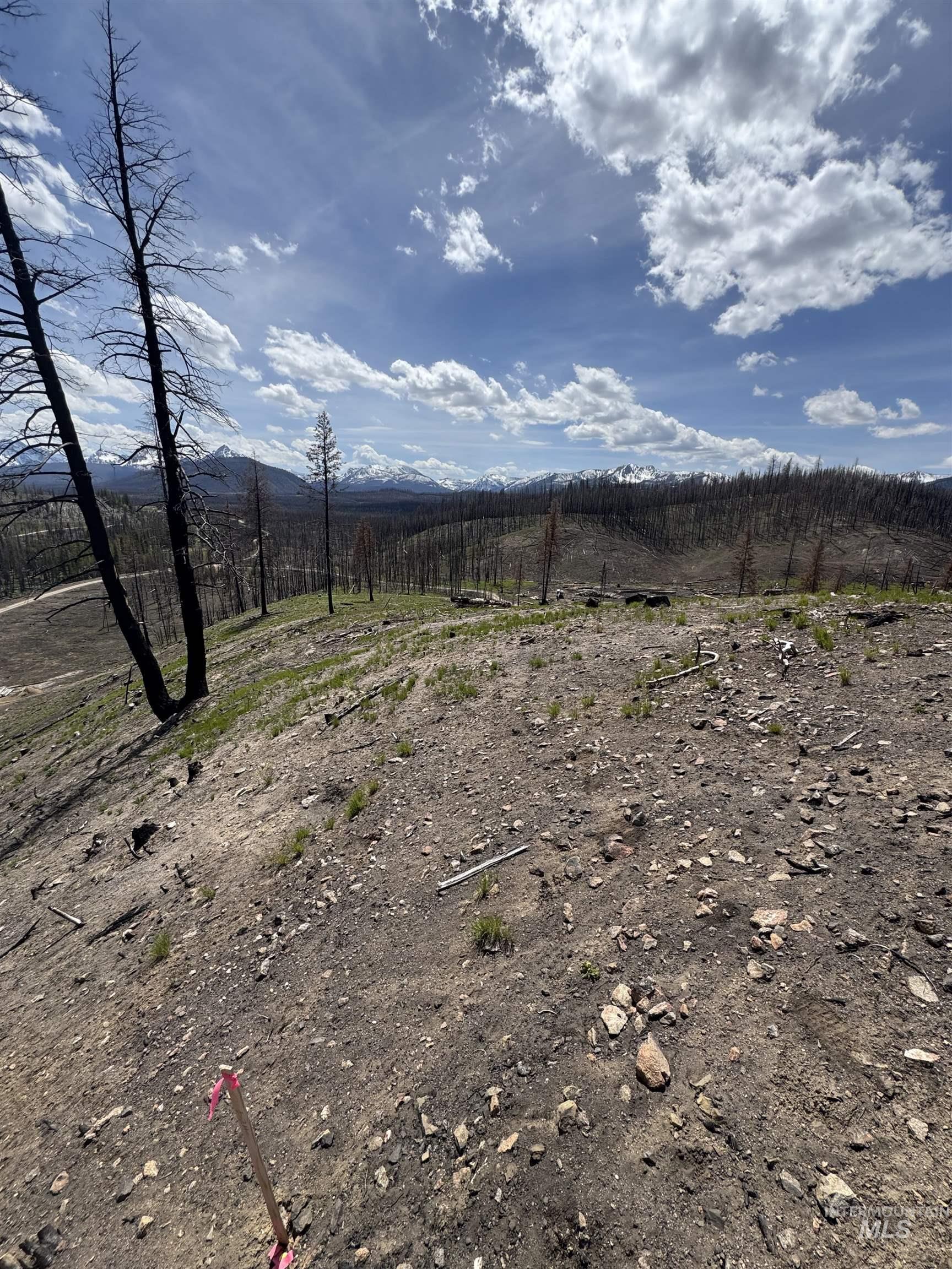 Tbd Valley Creek Rd. Property Photo 5