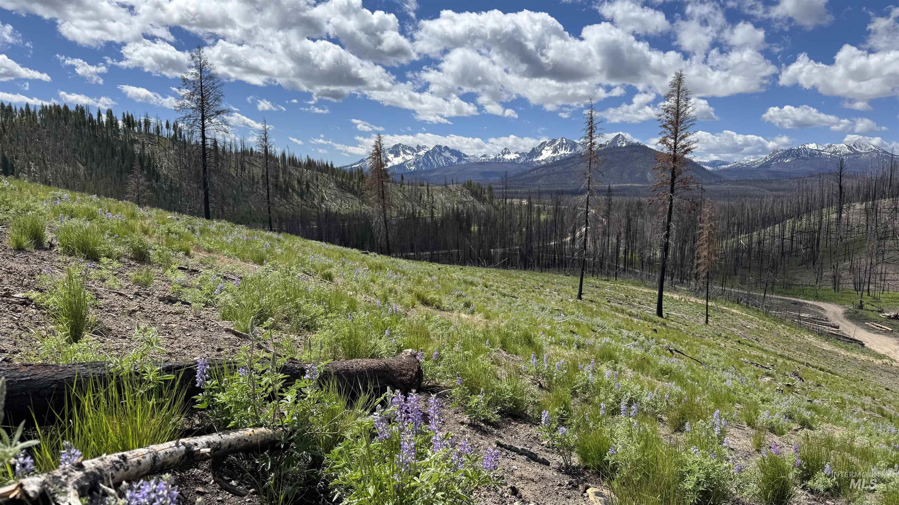 Tbd Valley Creek Rd. Property Photo 9