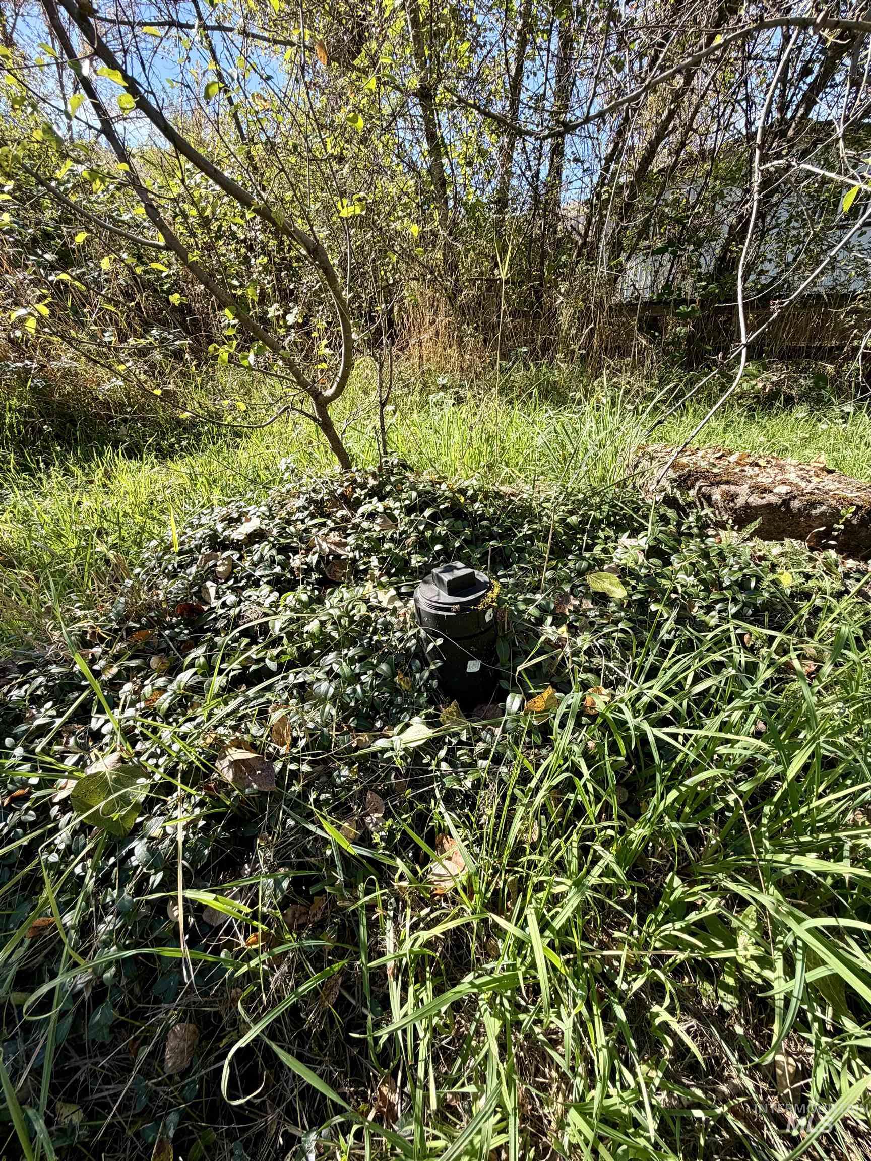3180 & 3170 Lawyer Creek Road Property Photo 19