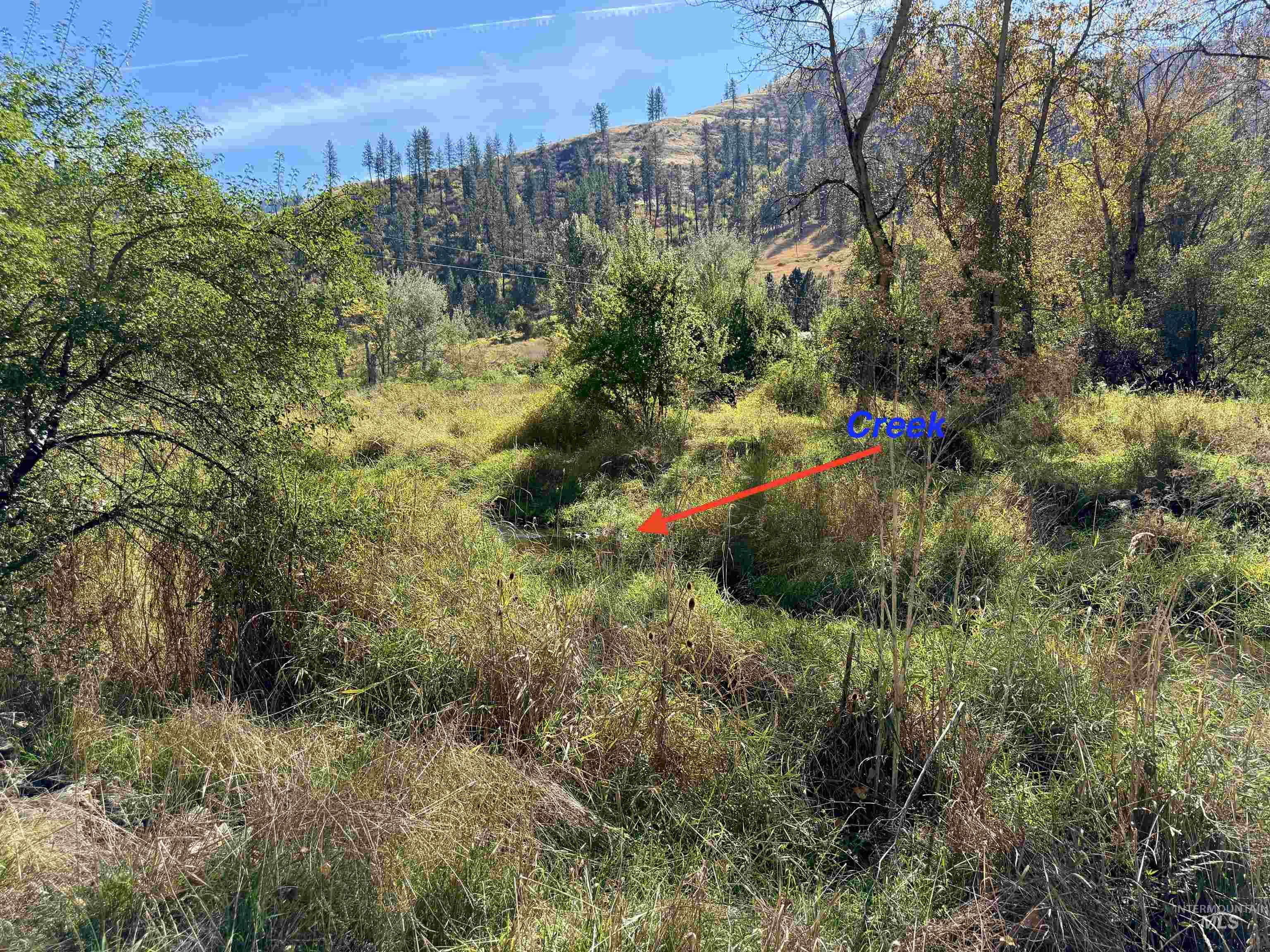 3180 & 3170 Lawyer Creek Road Property Photo 22