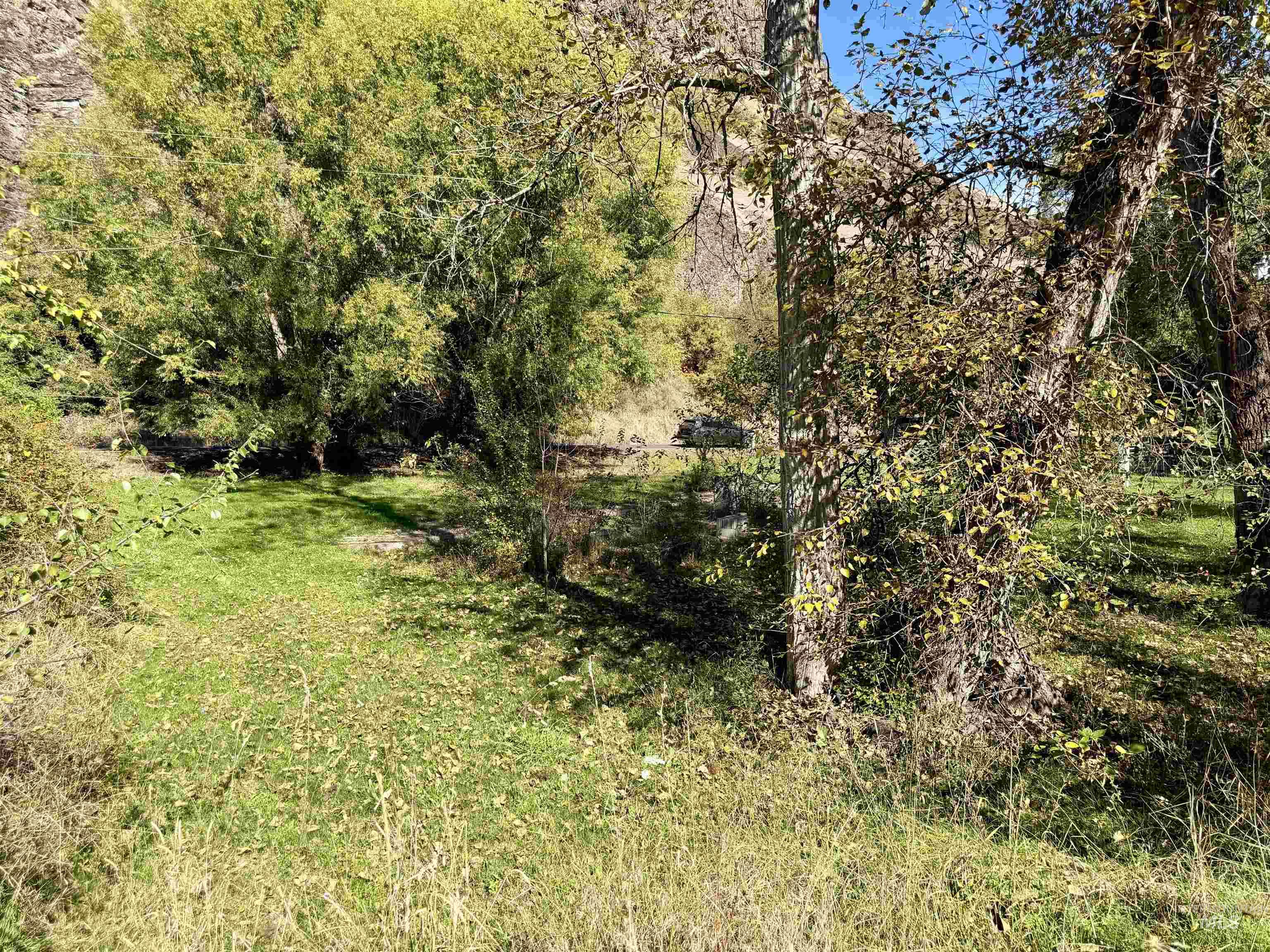 3180 & 3170 Lawyer Creek Road Property Photo 24
