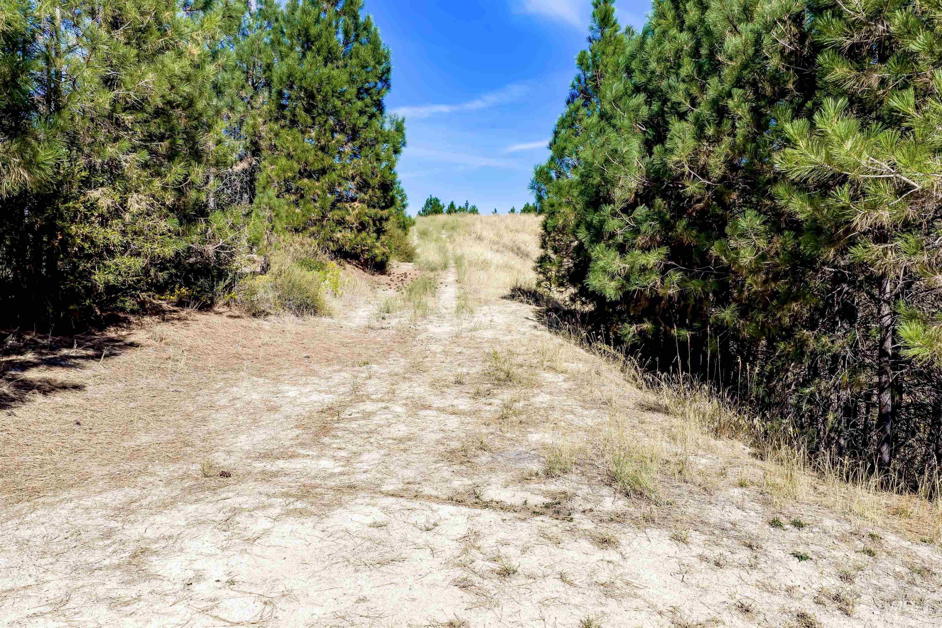 Tbd Trails End Way Property Photo 30