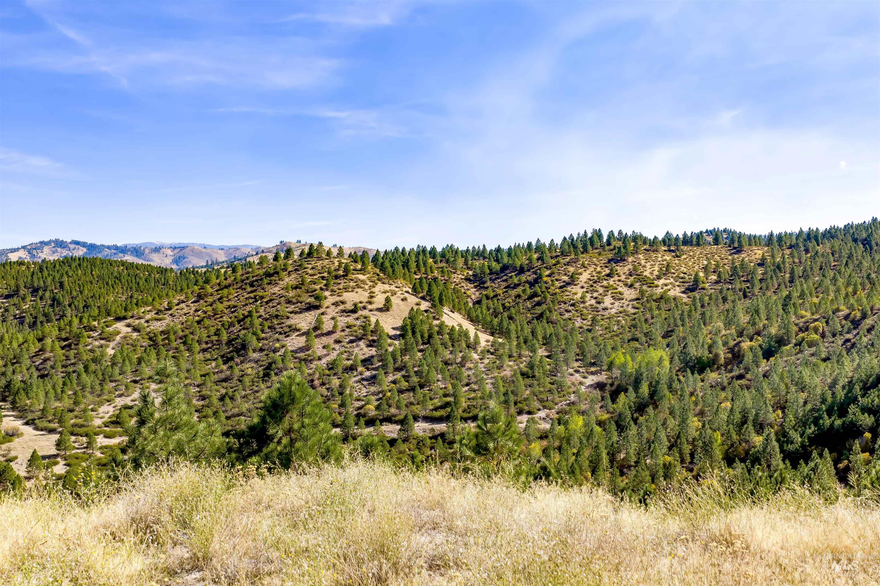 Tbd Trails End Way Property Photo 40