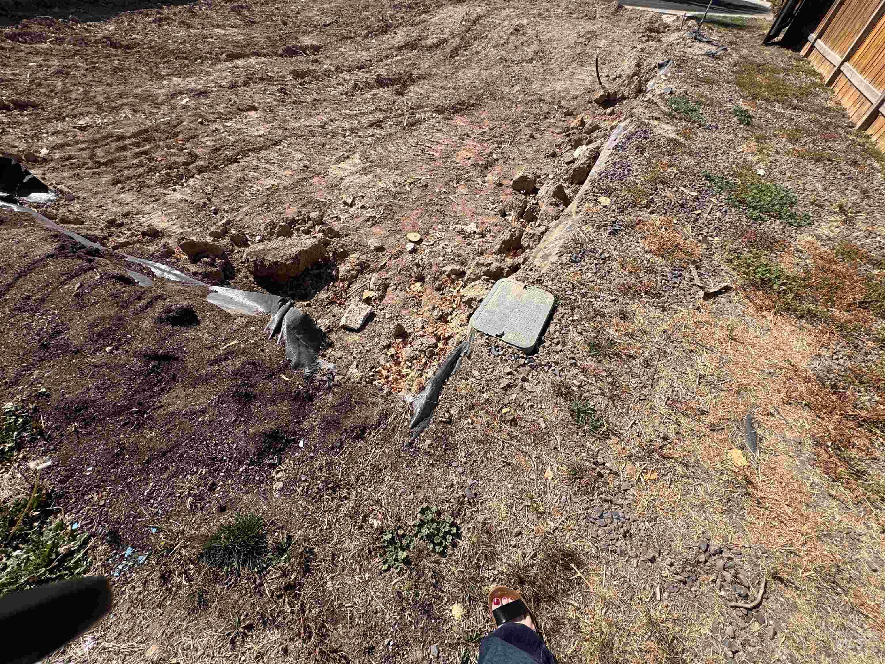 16088 Durum Pl Property Photo 13