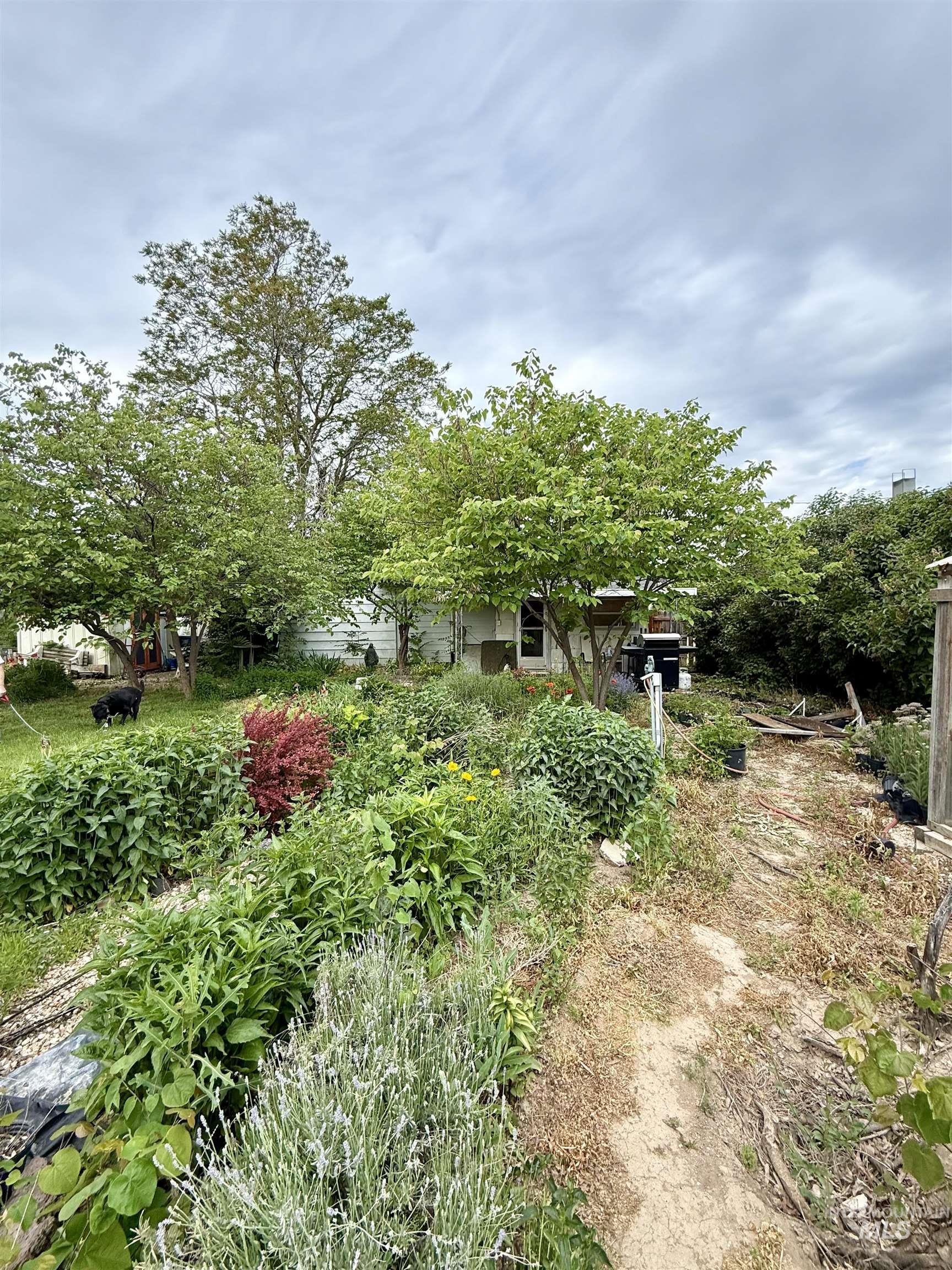 6 N Fairview St Property Photo 19