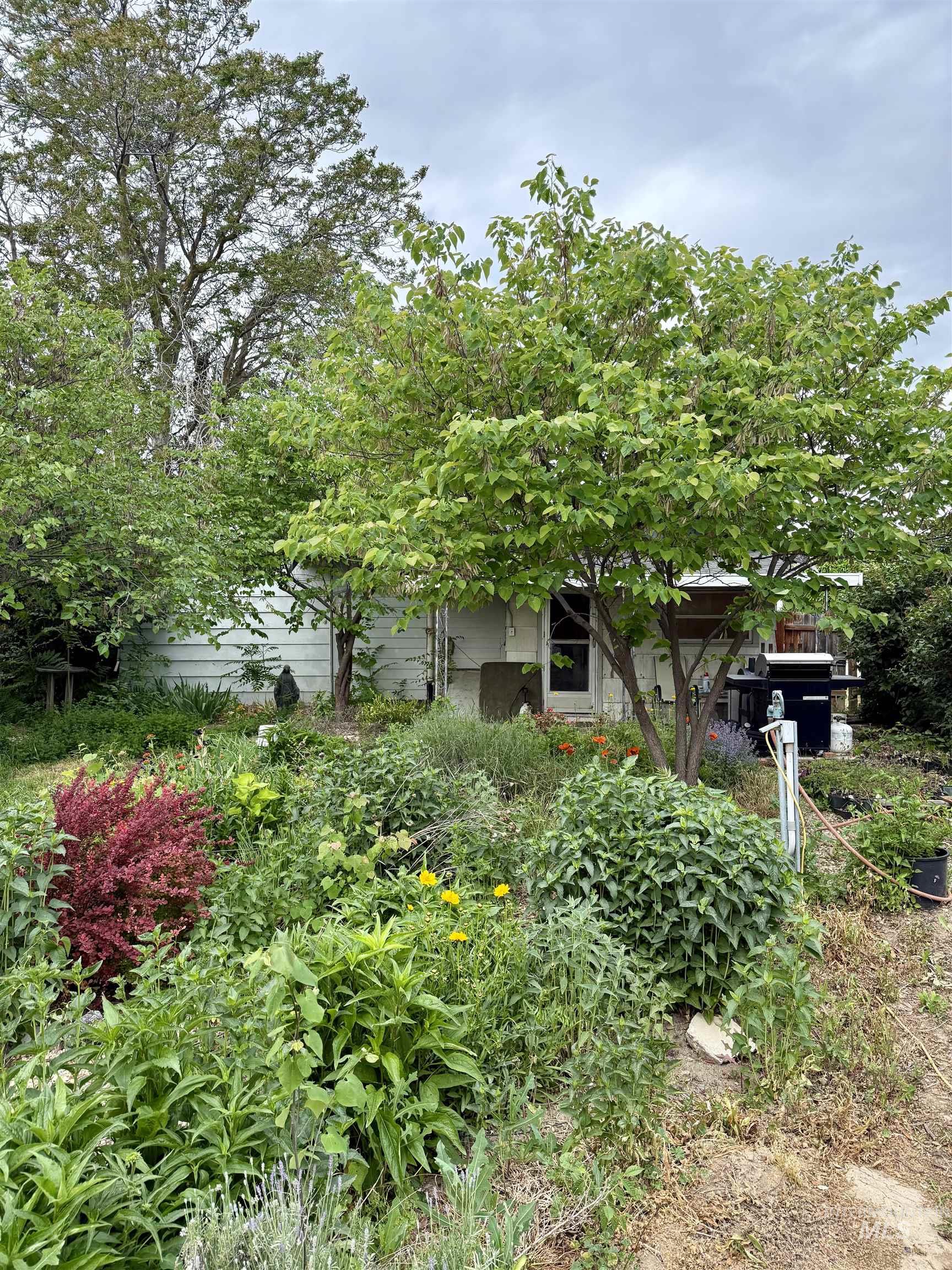 6 N Fairview St Property Photo 20