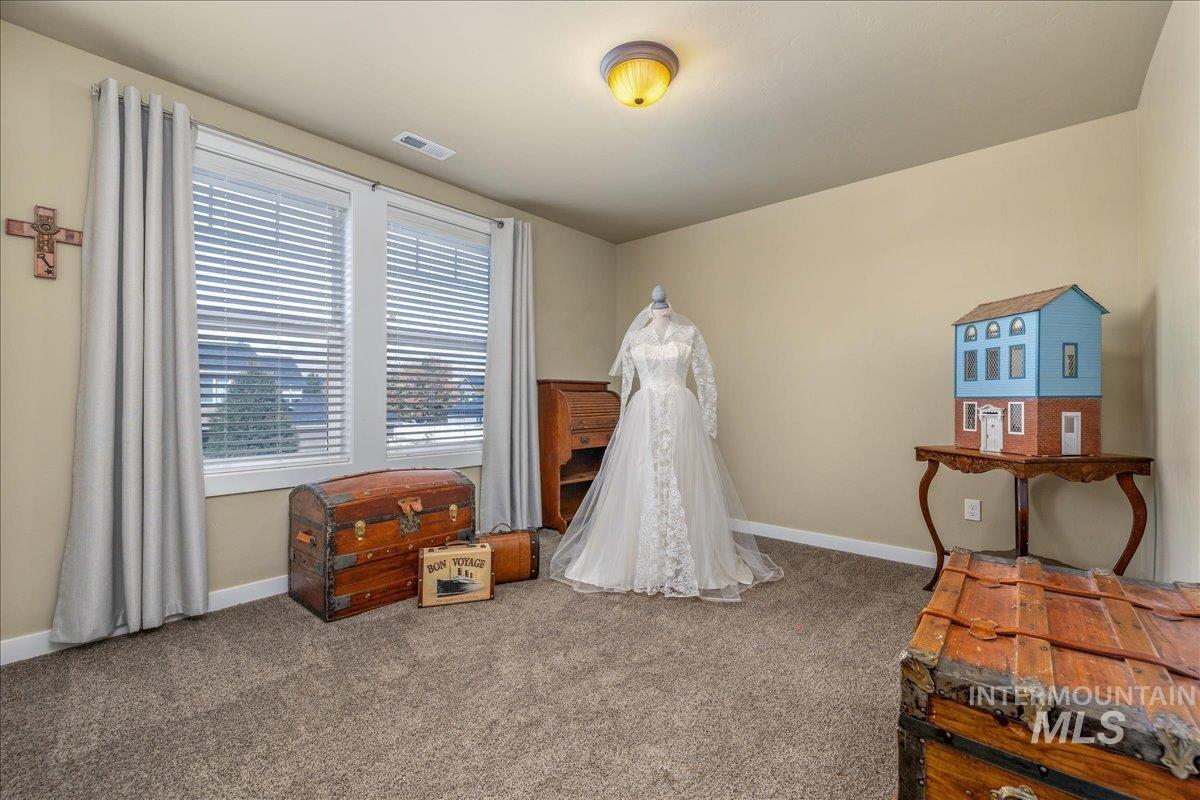 6633 Black Gold Street Property Photo 29