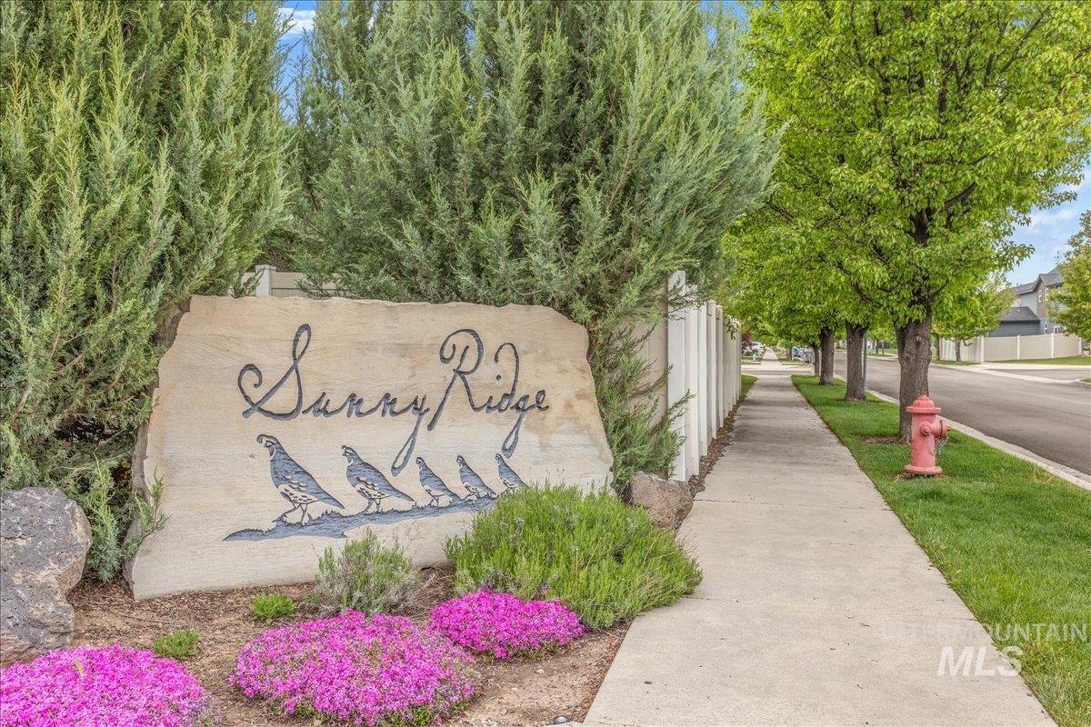 6633 Black Gold Street Property Photo 44