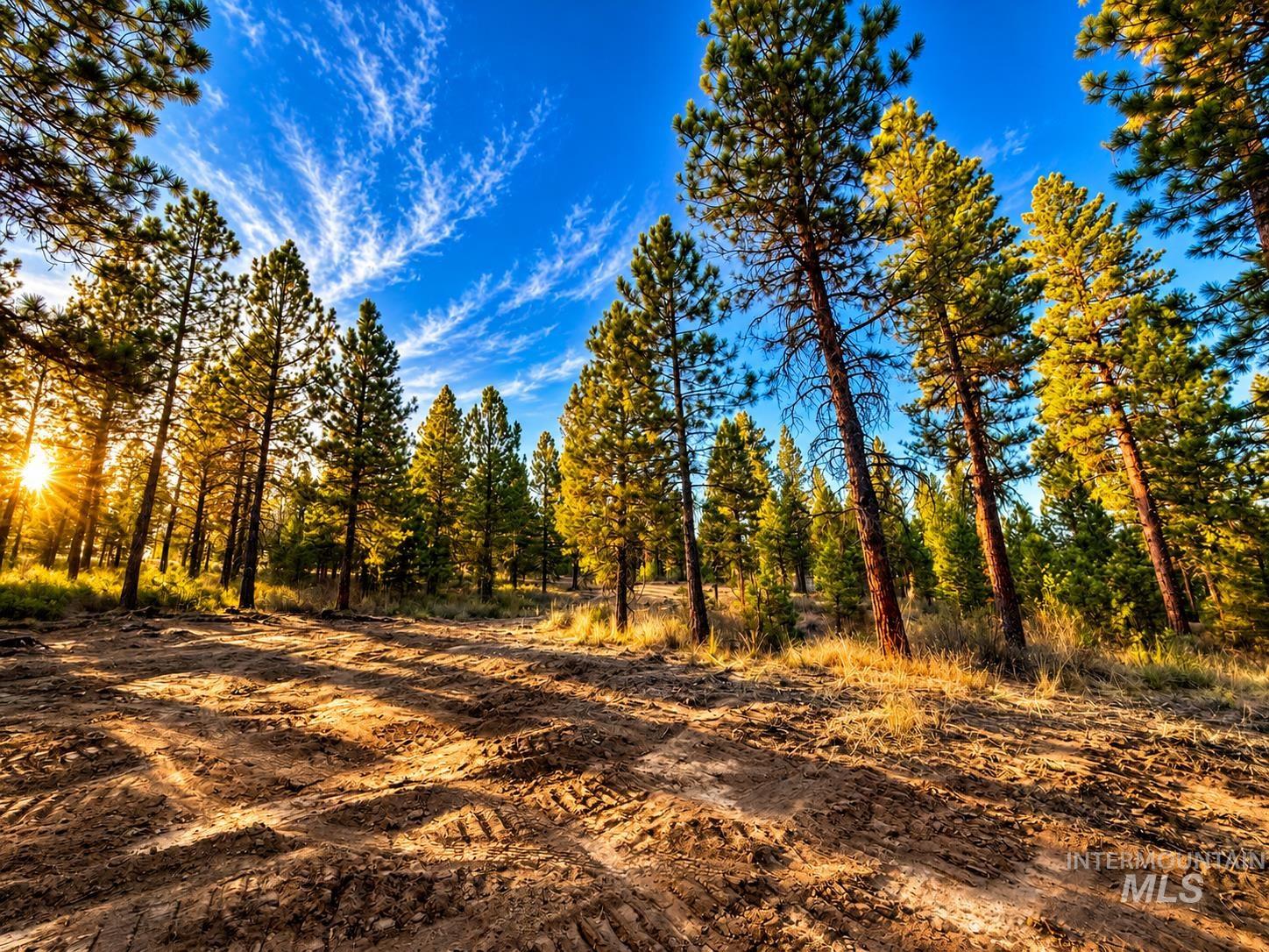 Tbd Grimes Pass Road Property Photo 1