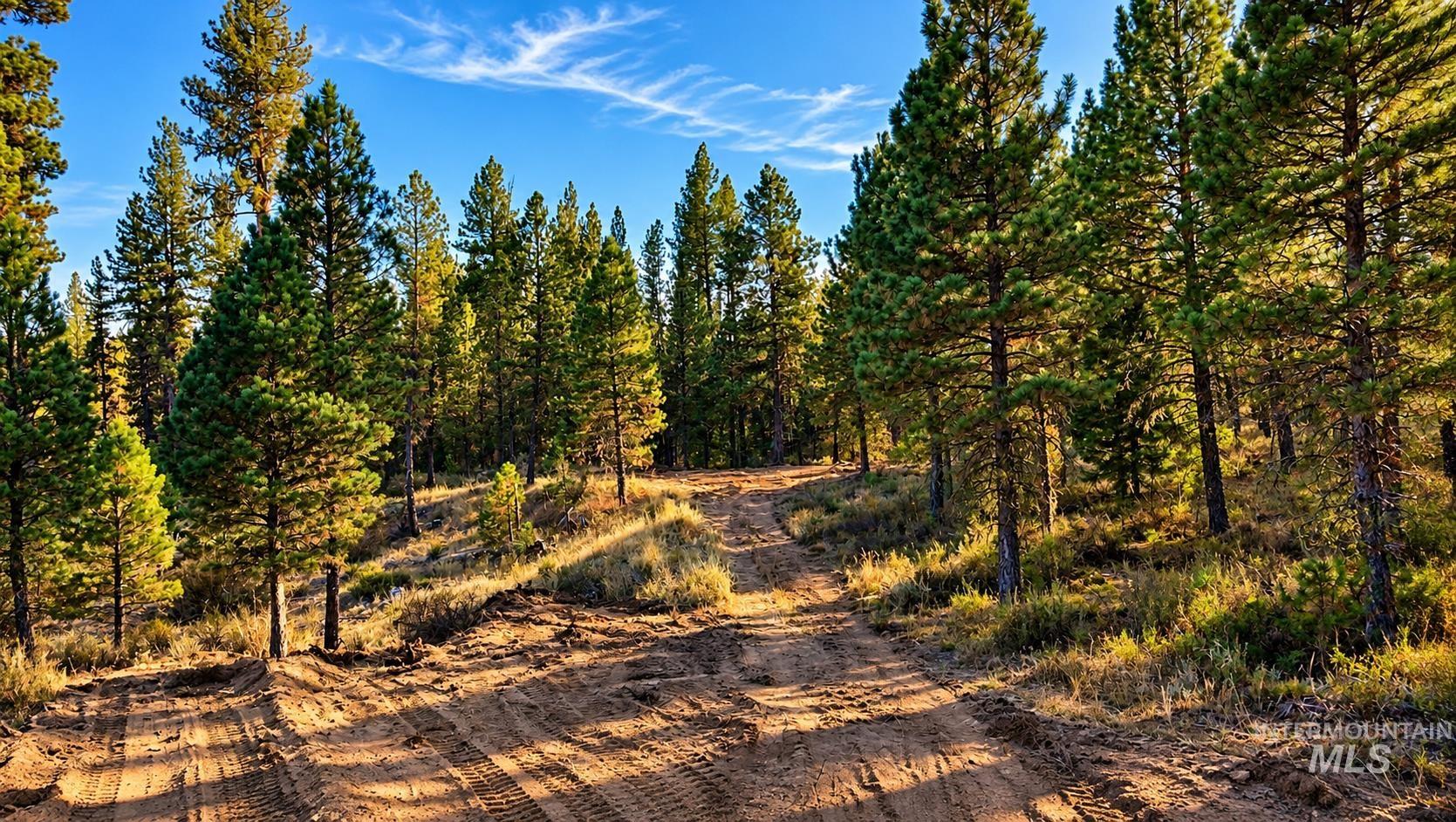 Tbd Grimes Pass Road Property Photo 8