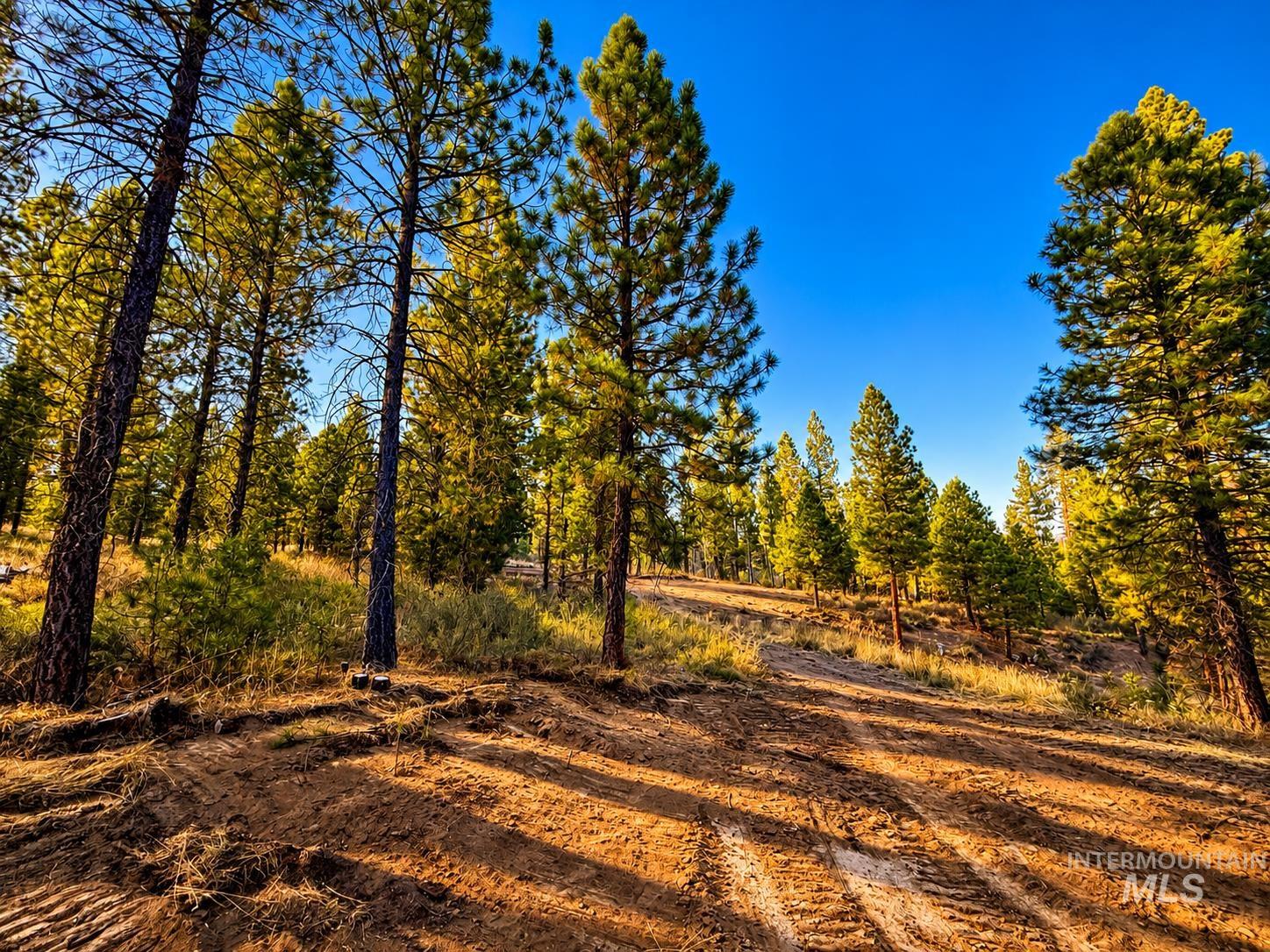 Tbd Grimes Pass Road Property Photo 10