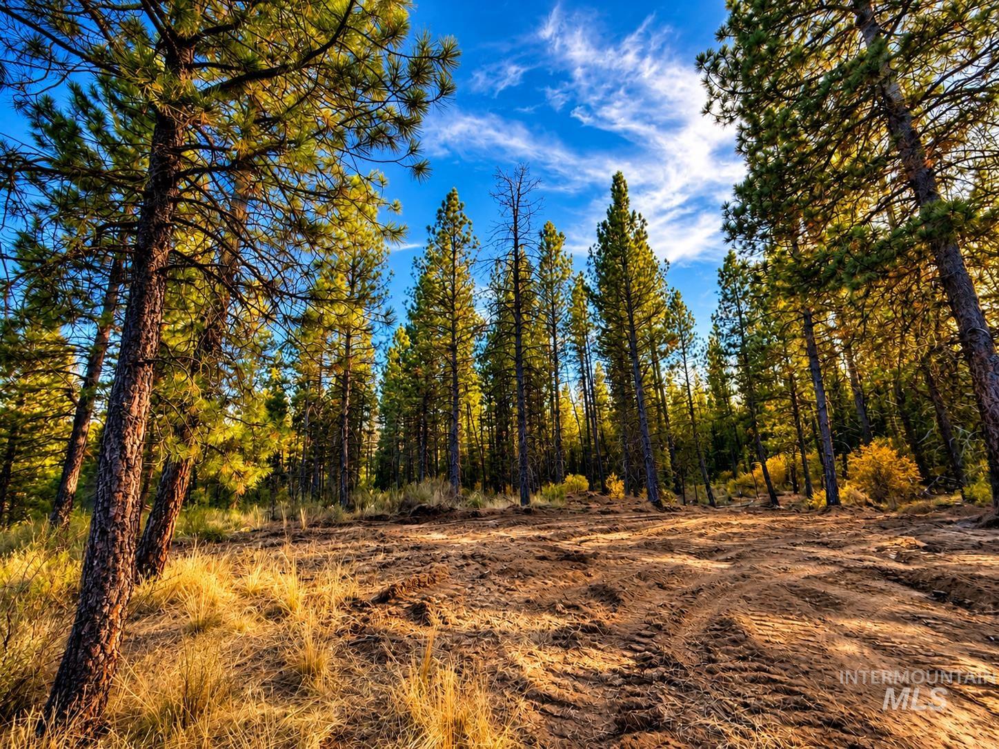 Tbd Grimes Pass Road Property Photo 11